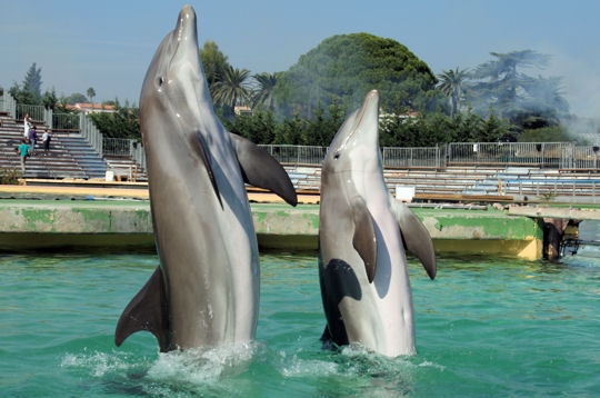 marineland