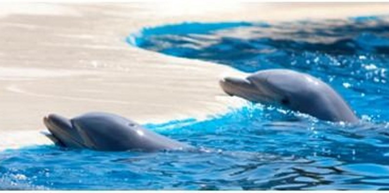 marineland