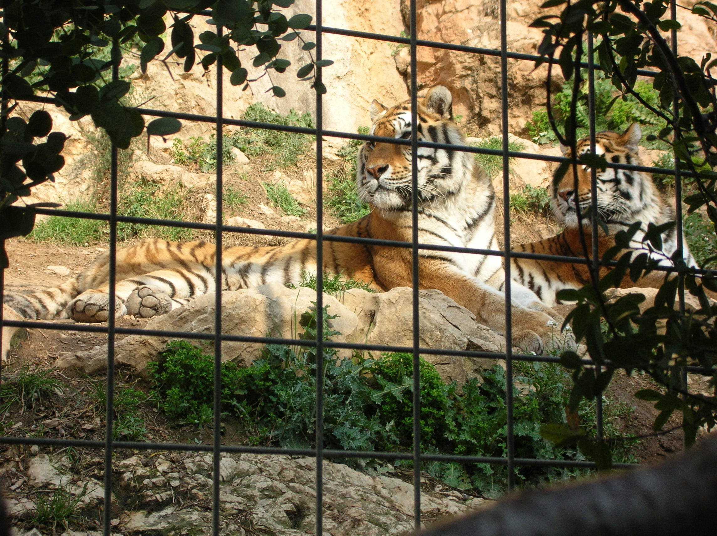 visite du zoo de la barben