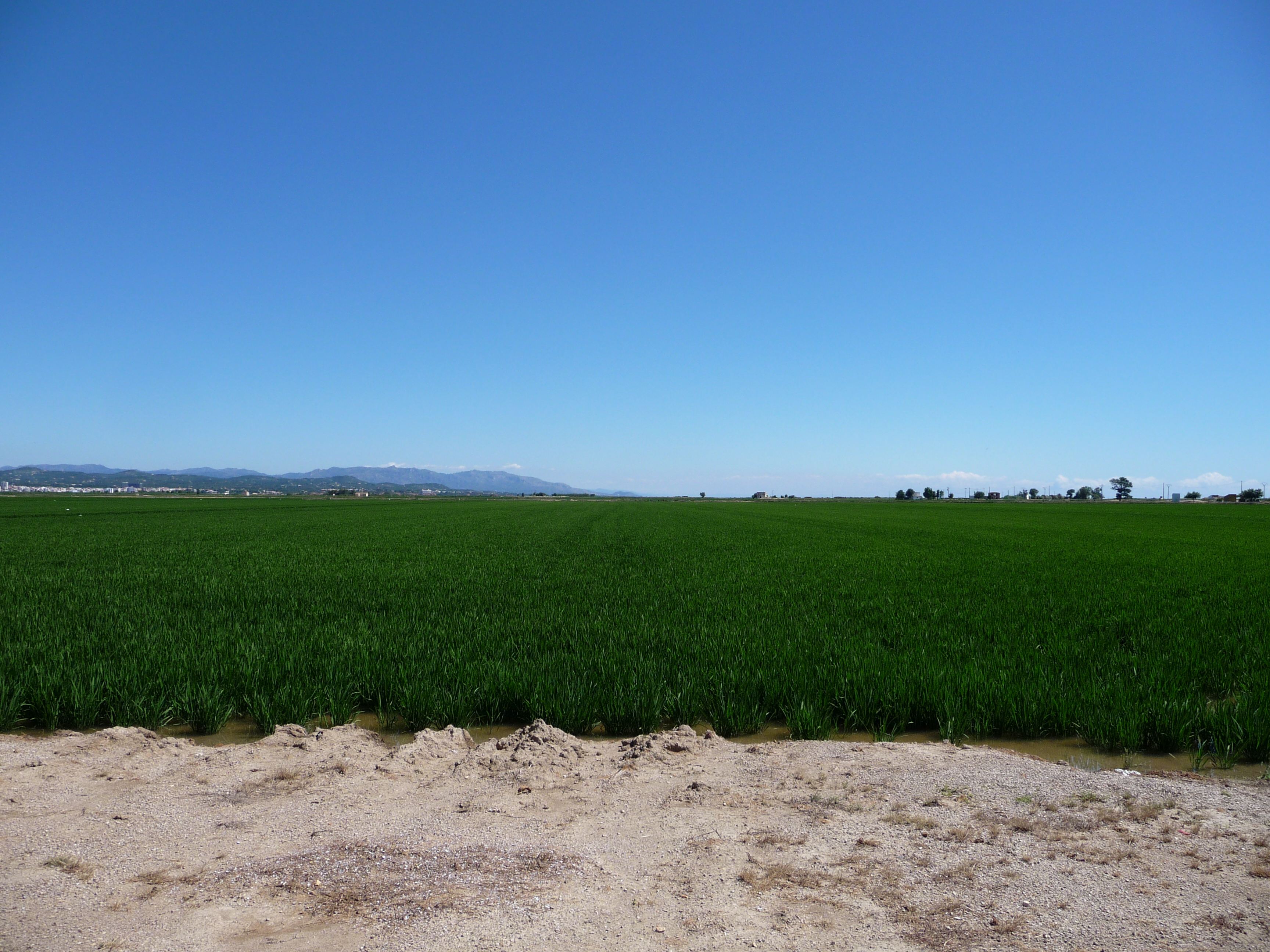 viiste du delta de lebre