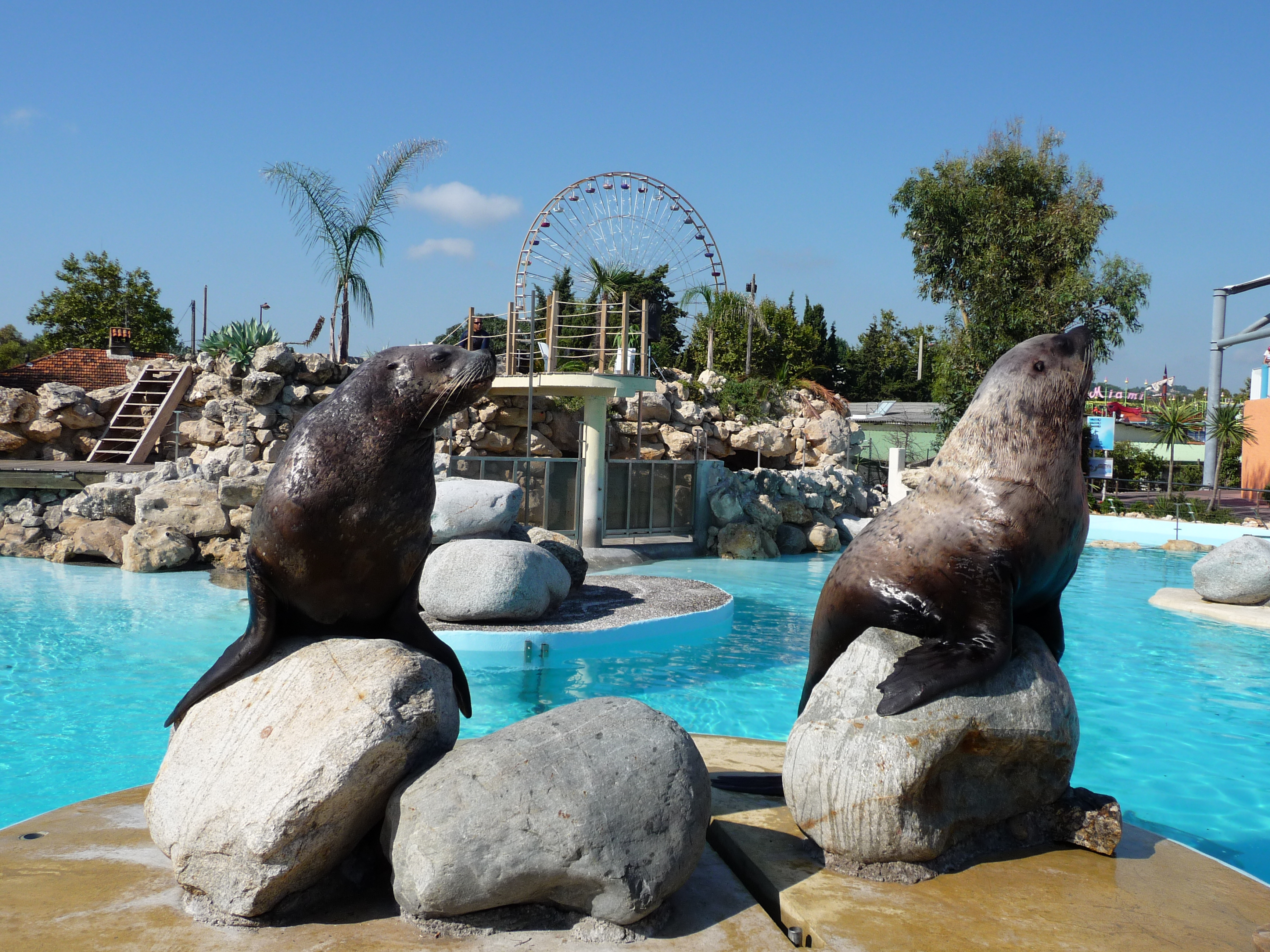 marineland