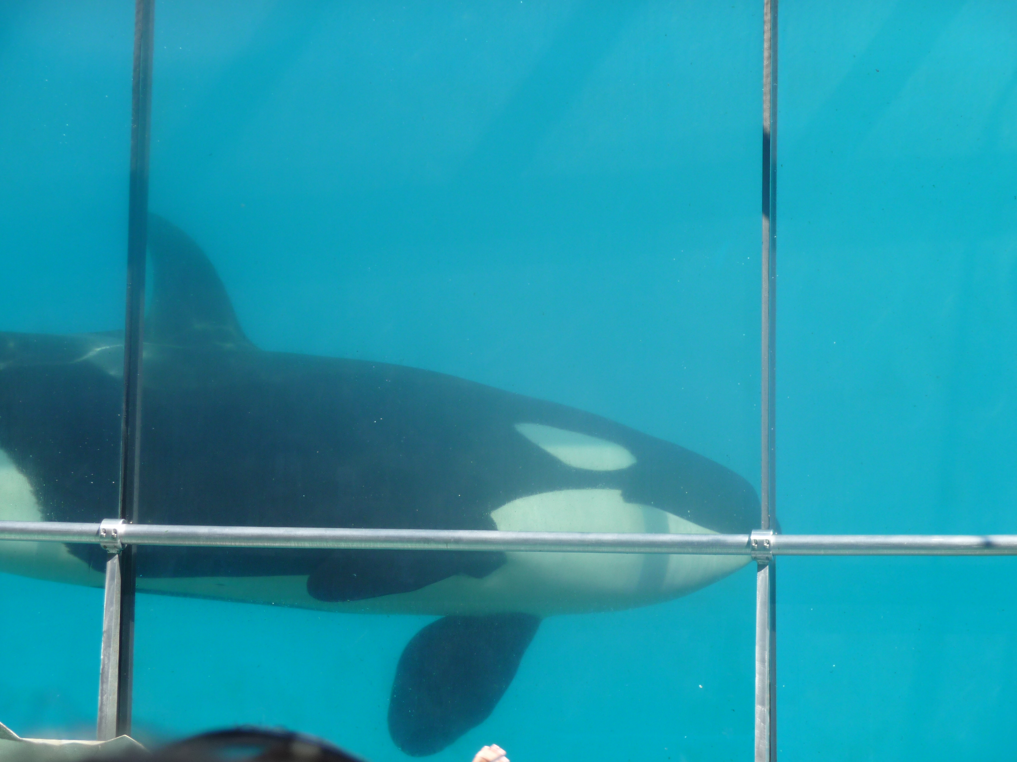 marineland