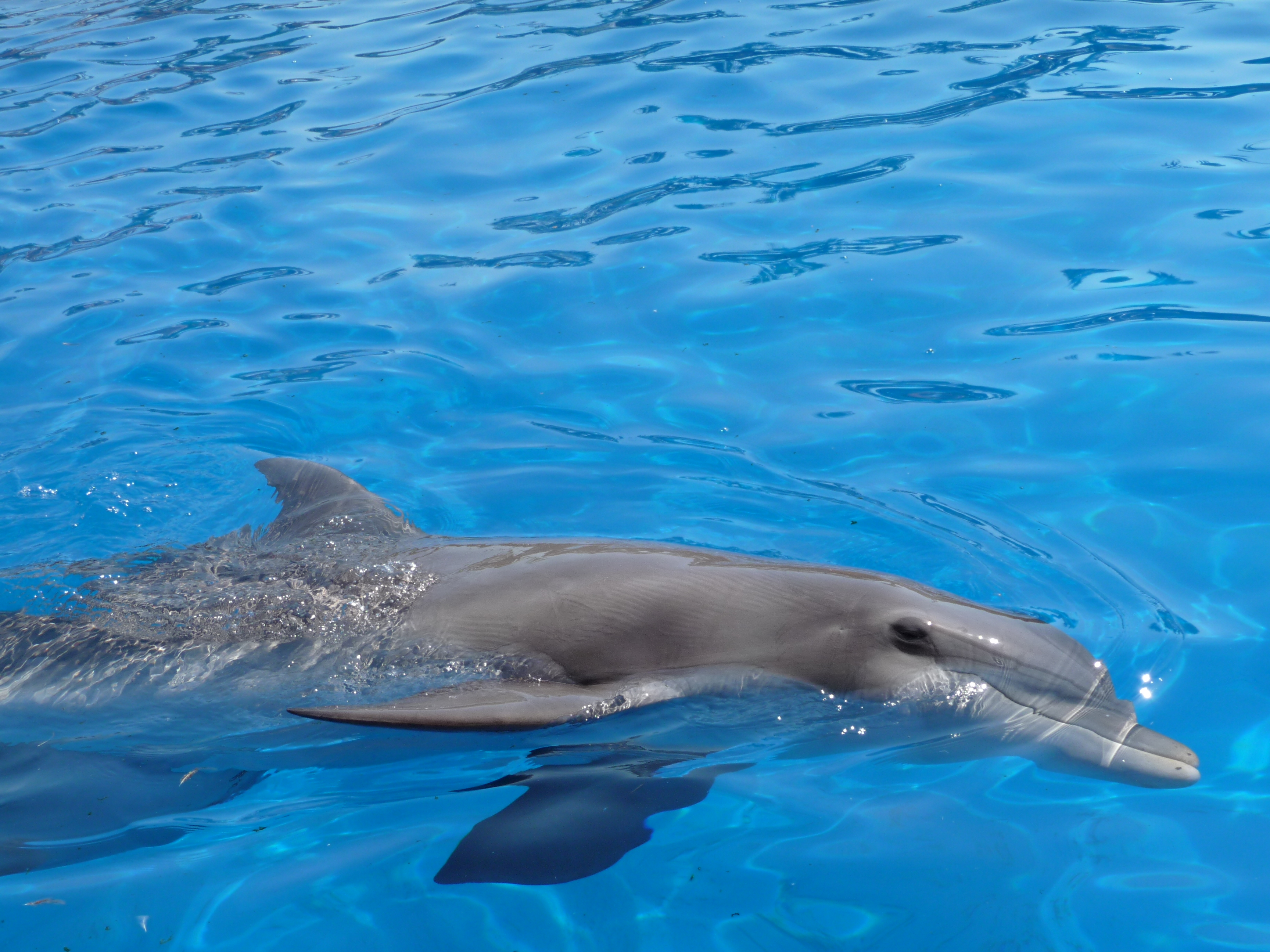 marineland