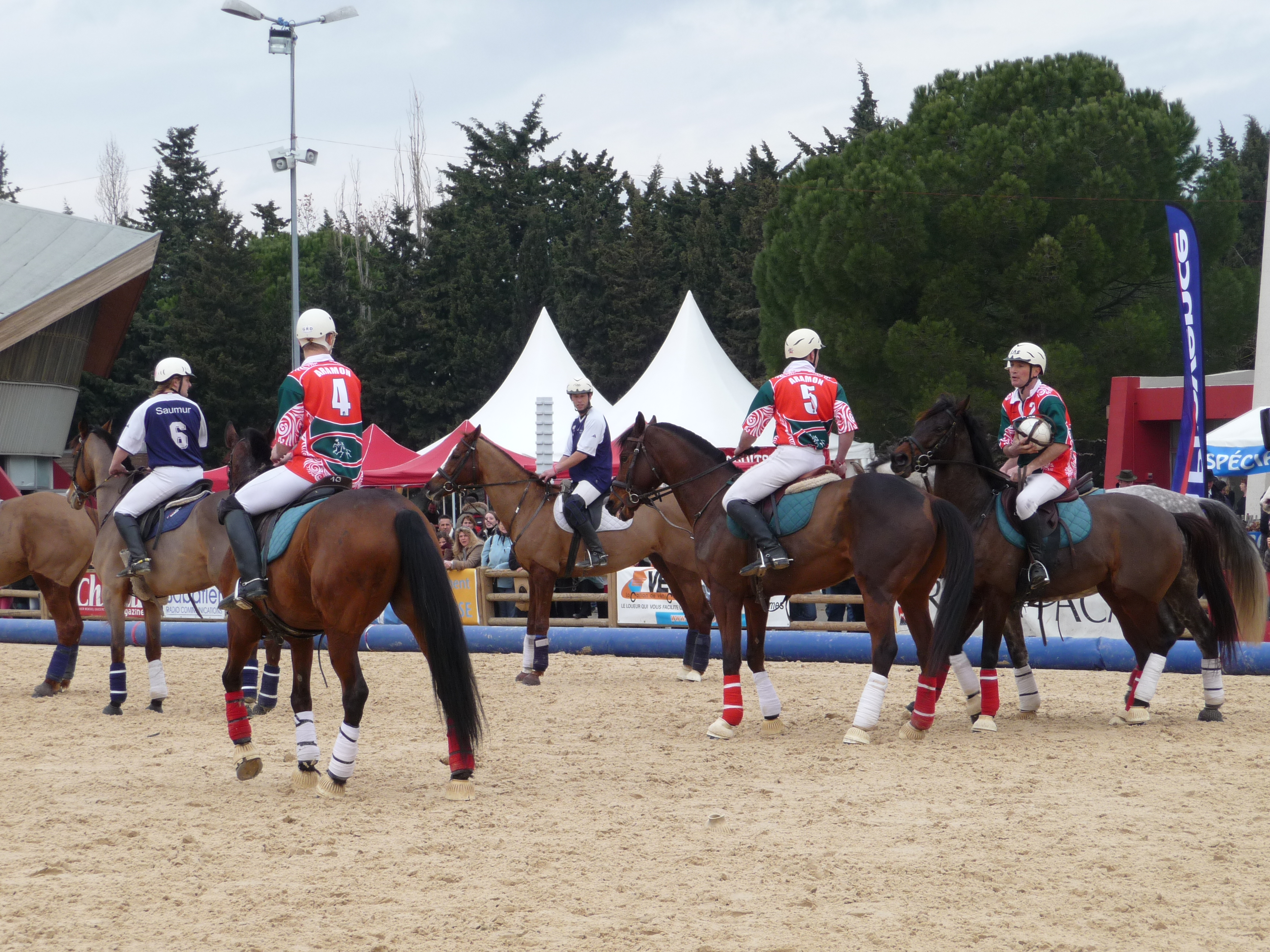 cheval passion 2009
