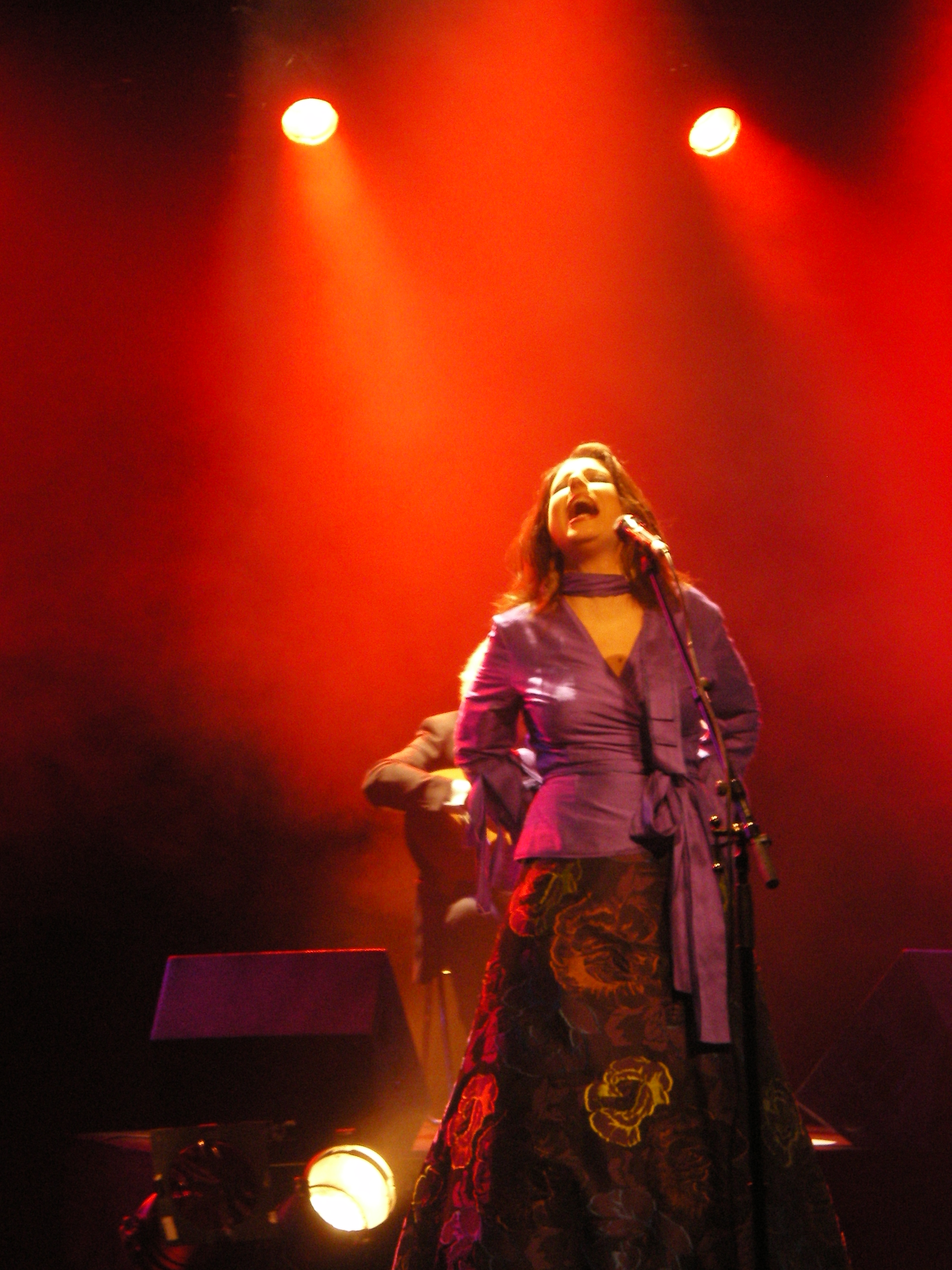 concert katia guerreiro