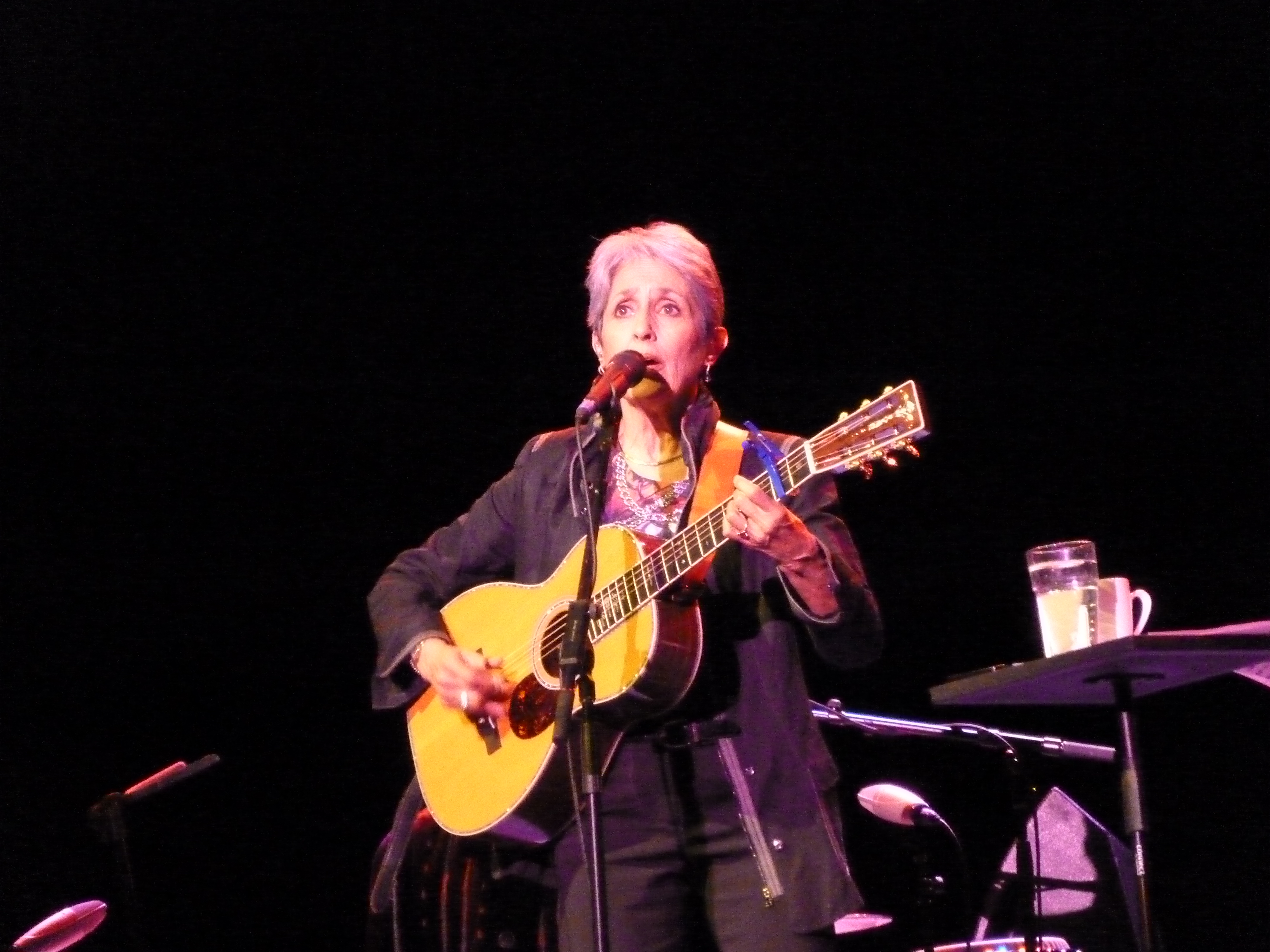 concert de joan baez
