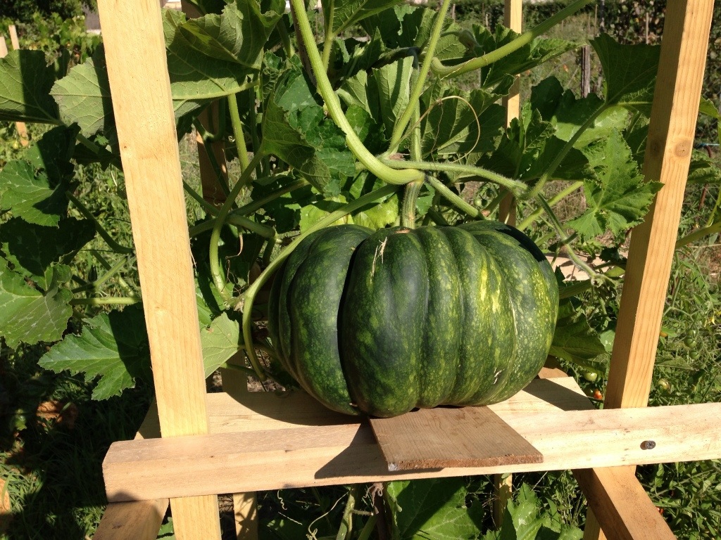 20130824-193933.jpg