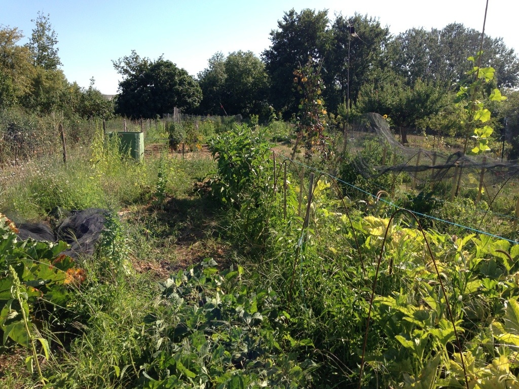 20130824-194019.jpg