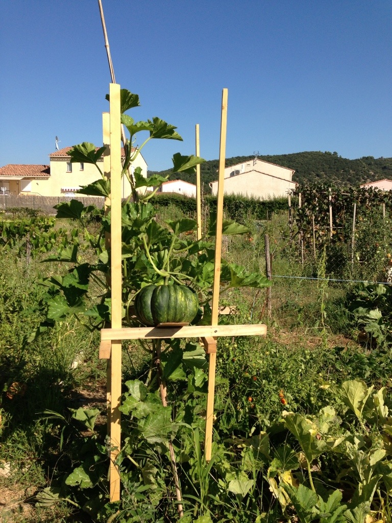 20130824-194109.jpg