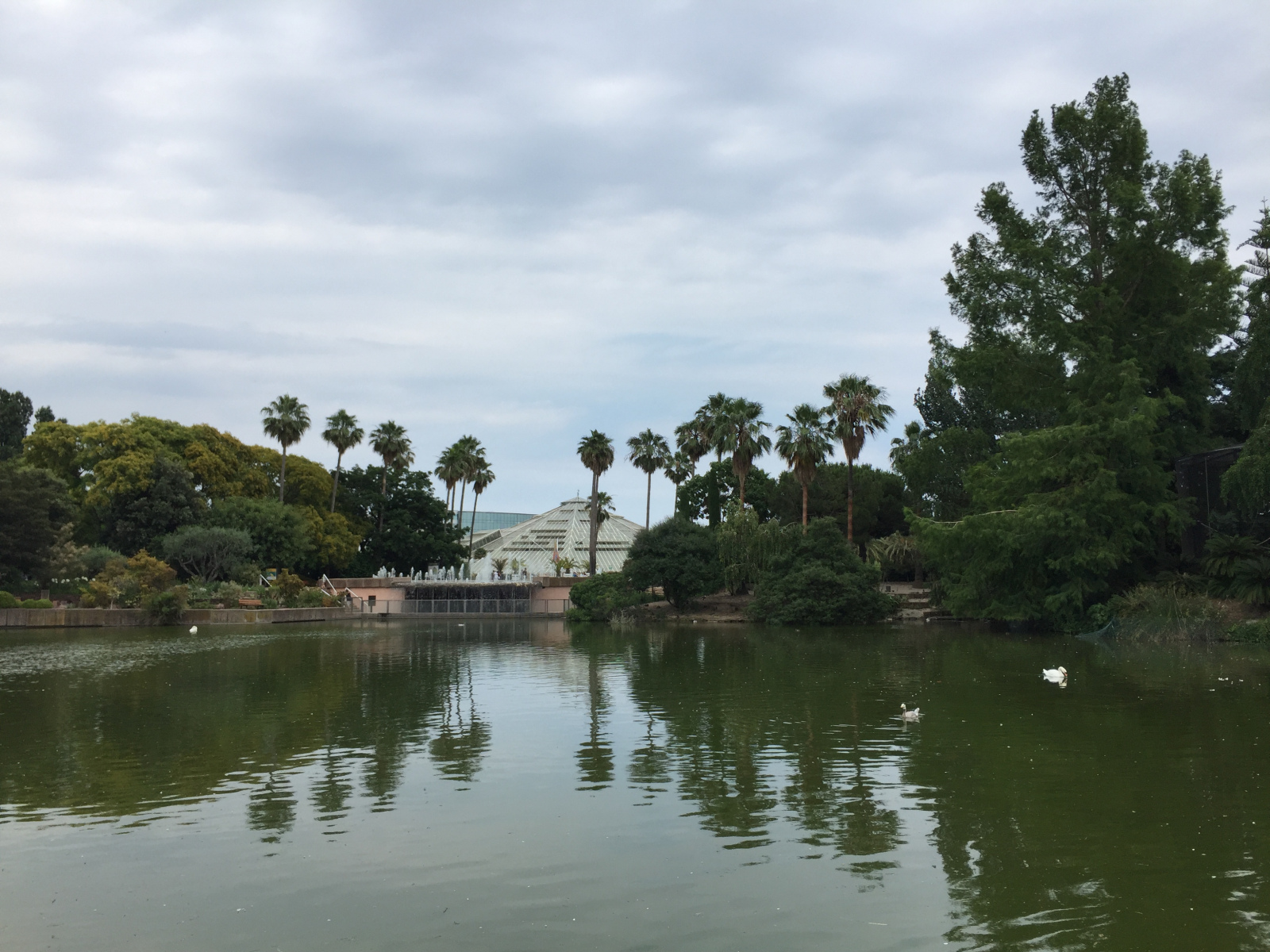 Ballade au parc Phoenix à Nice