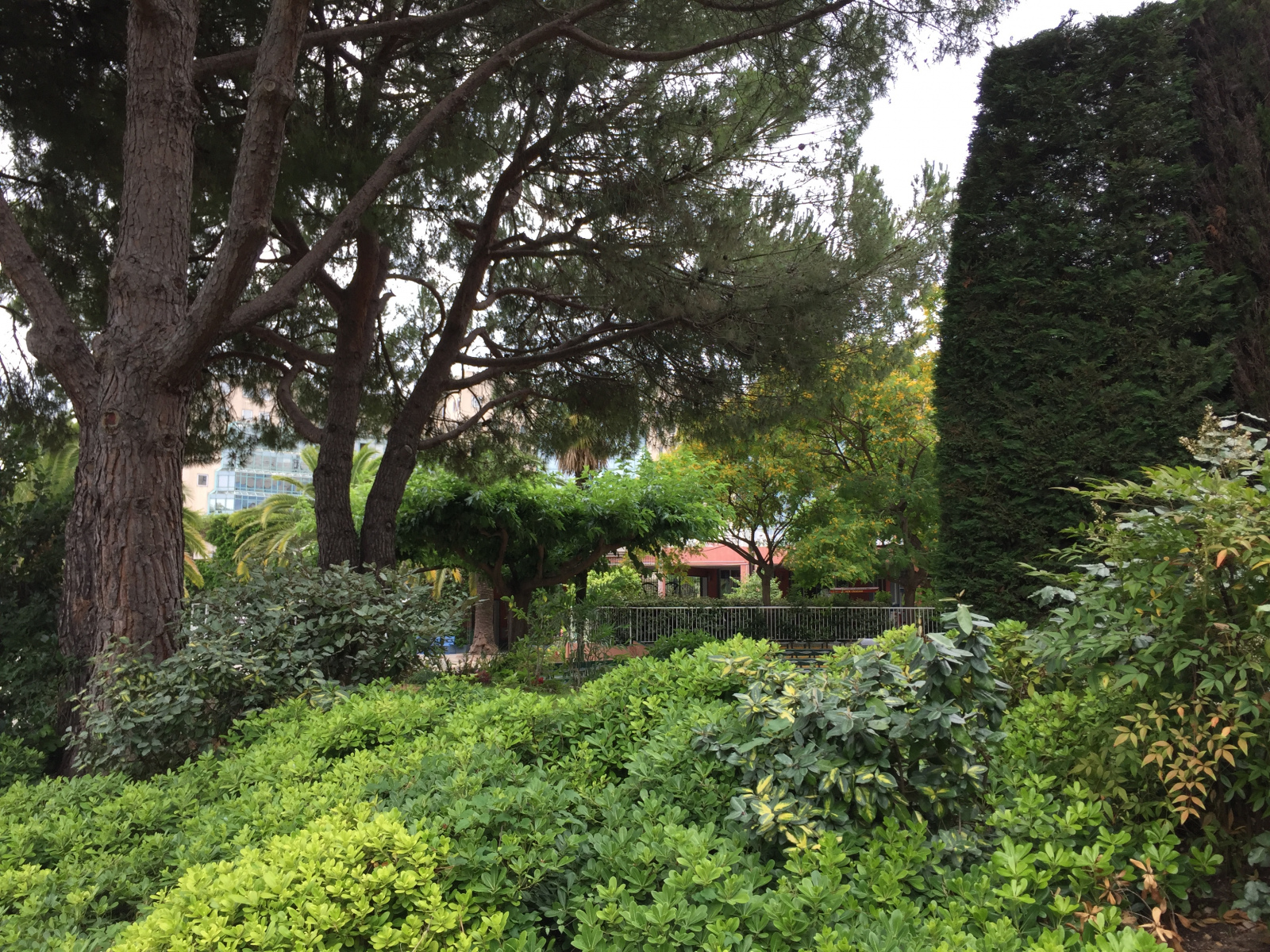 Ballade au parc Phoenix à Nice