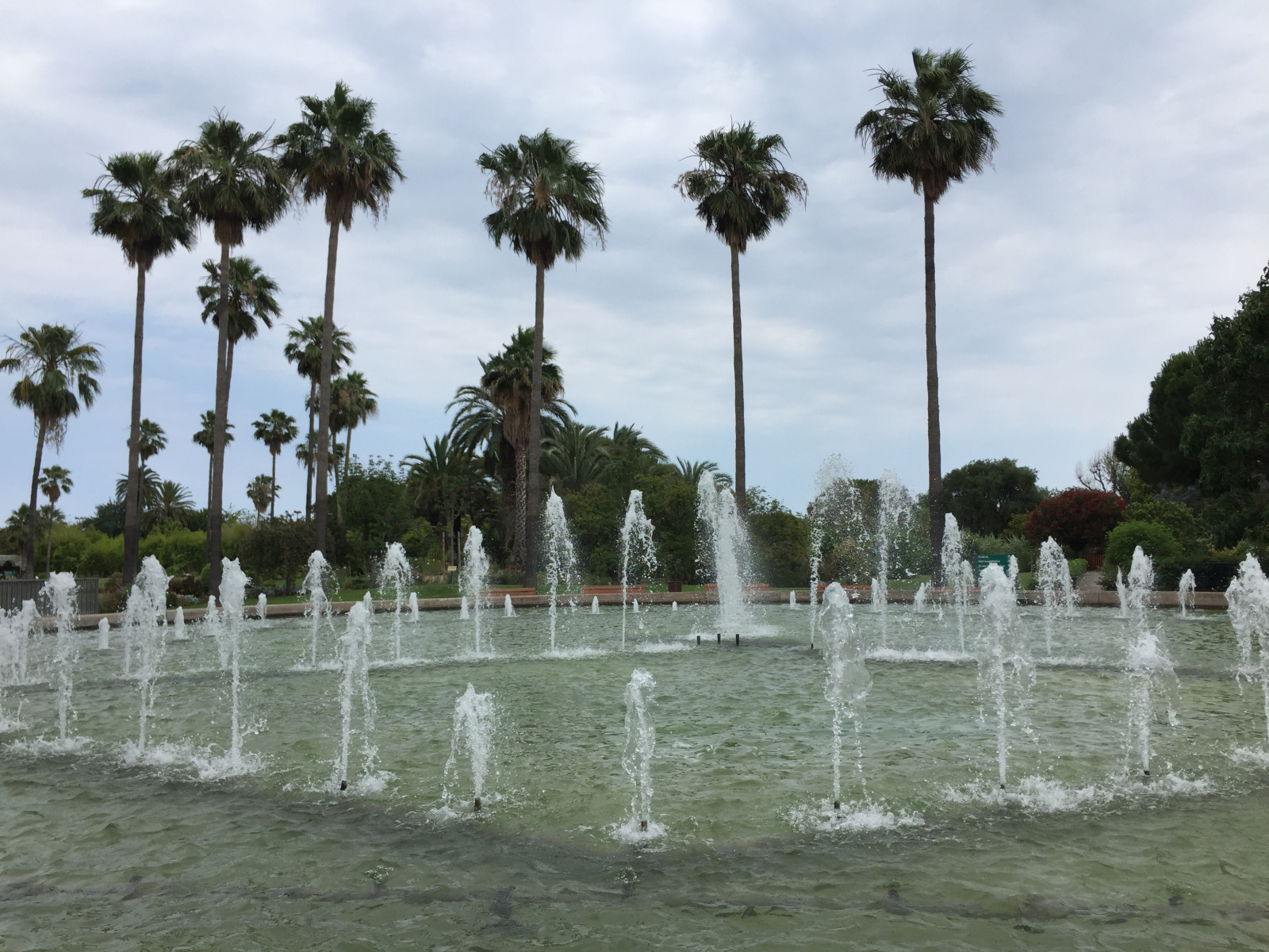 Ballade au parc Phoenix à Nice