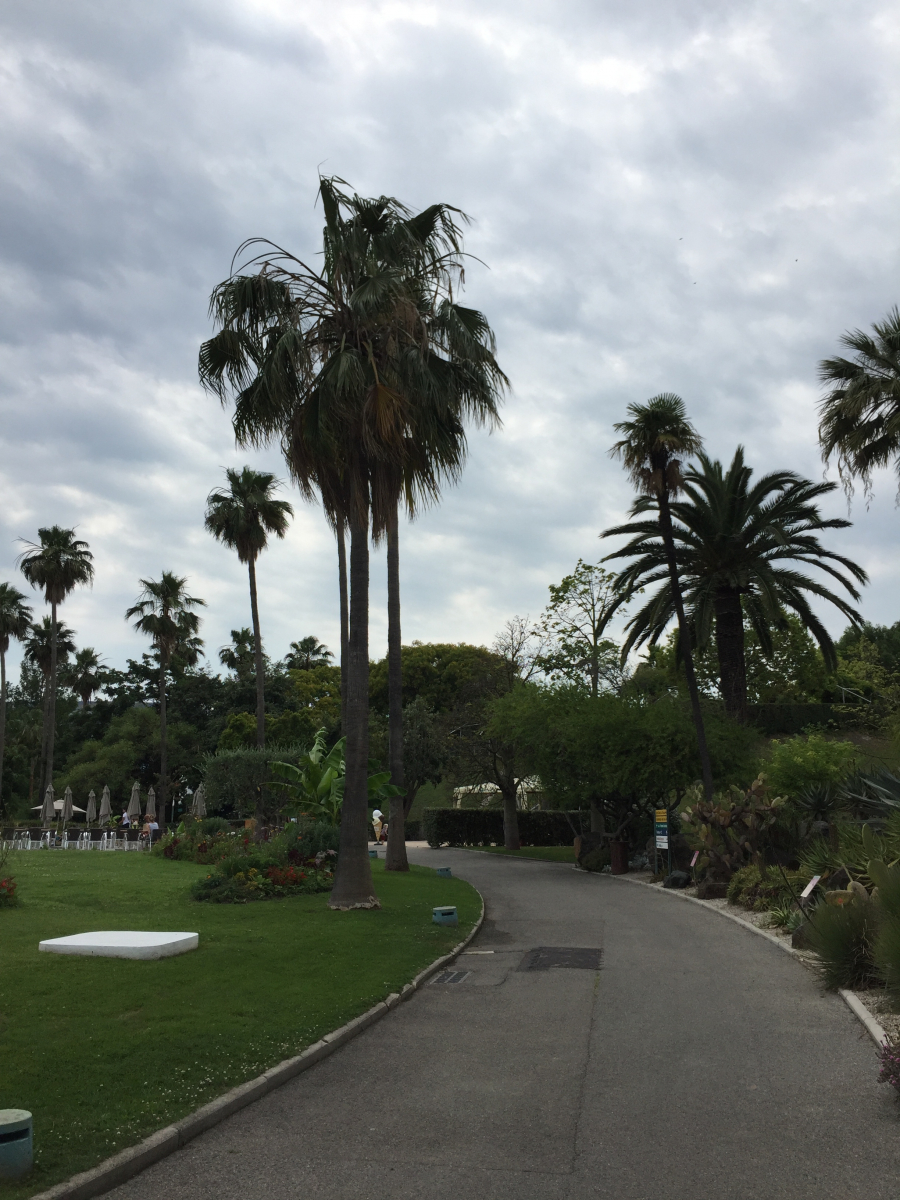 Ballade au parc Phoenix à Nice