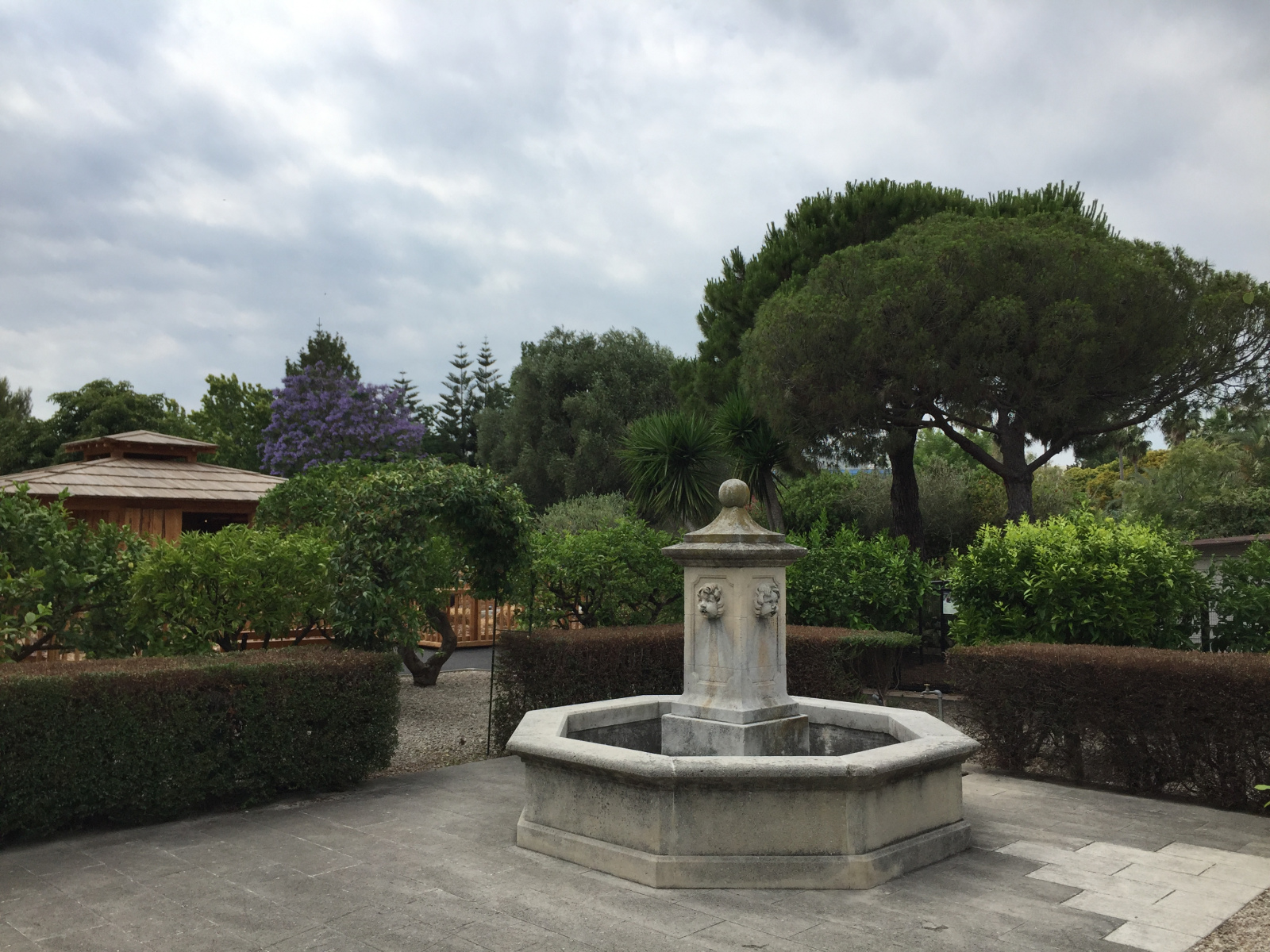 Ballade au parc Phoenix à Nice
