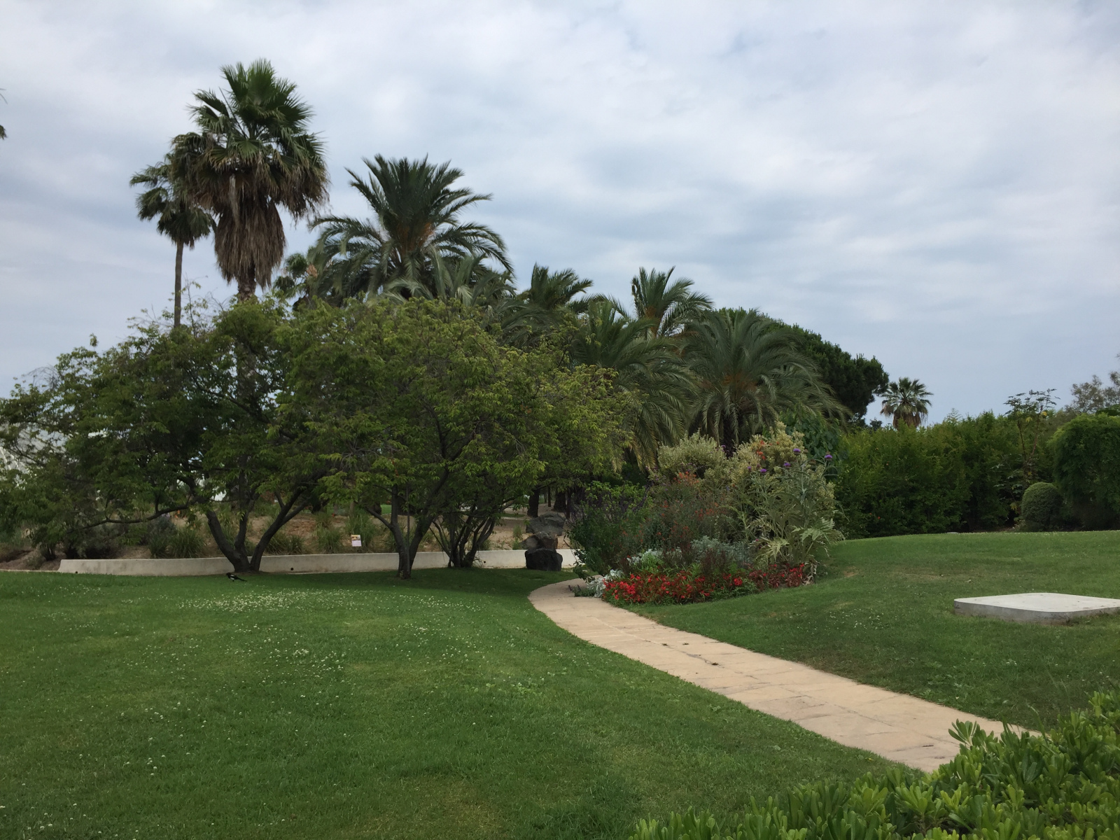 Ballade au parc Phoenix à Nice