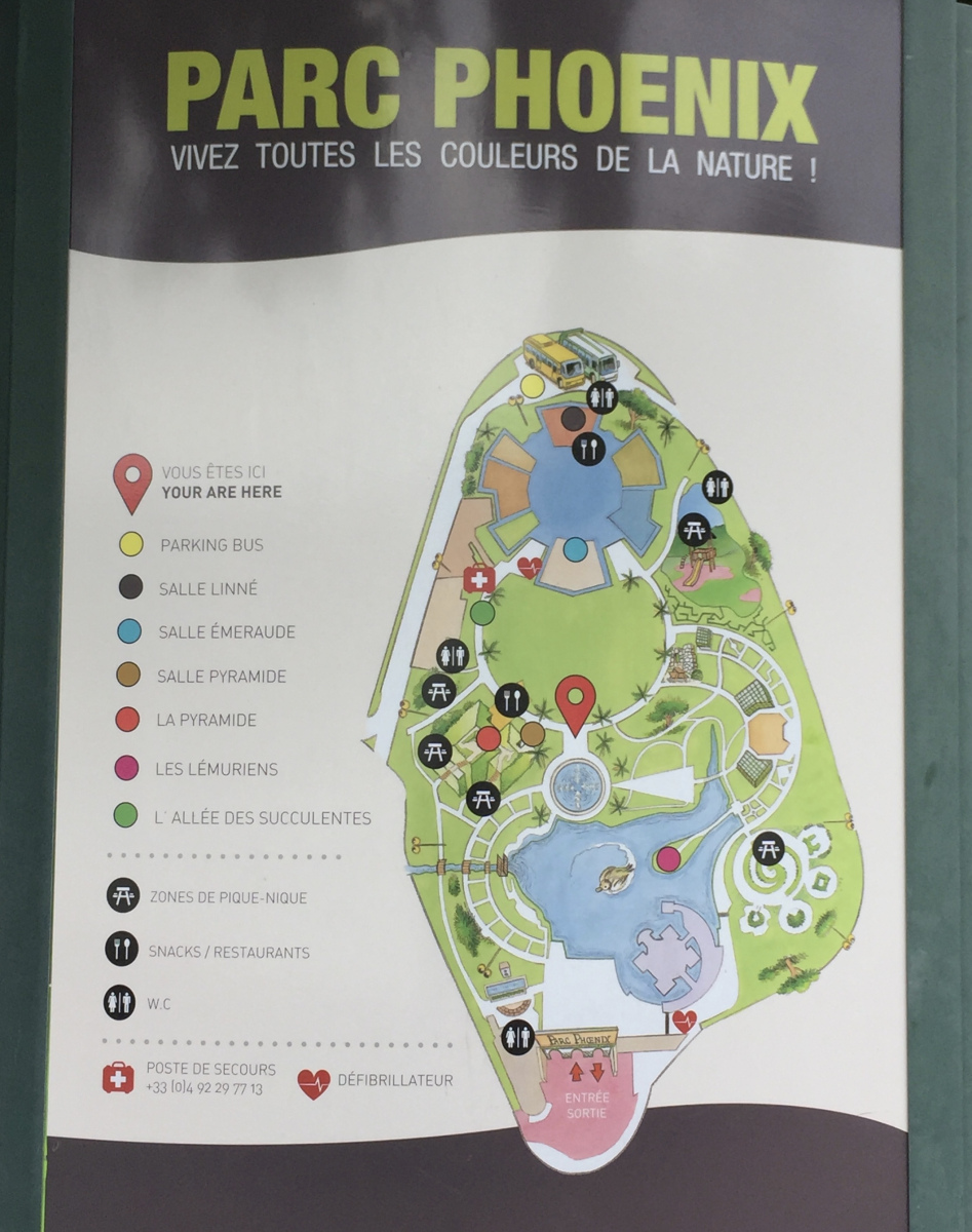 Ballade au parc Phoenix à Nice
