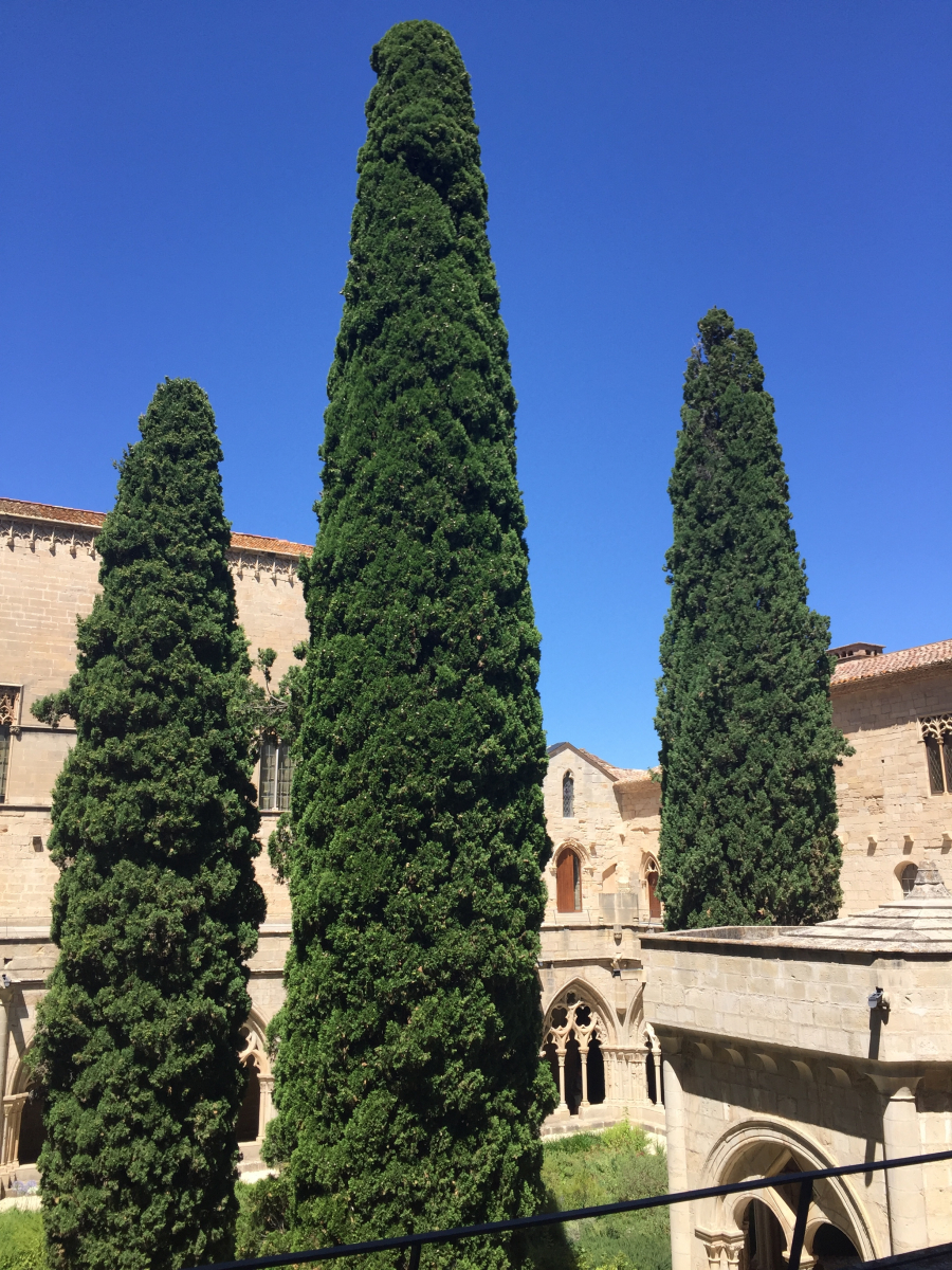Visite du monastère de Poblet (Espagne)