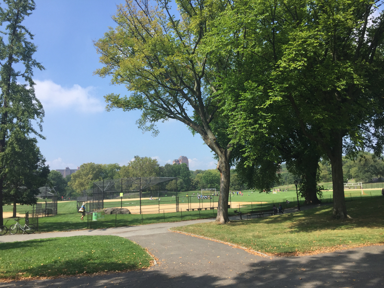 New York: Central Park