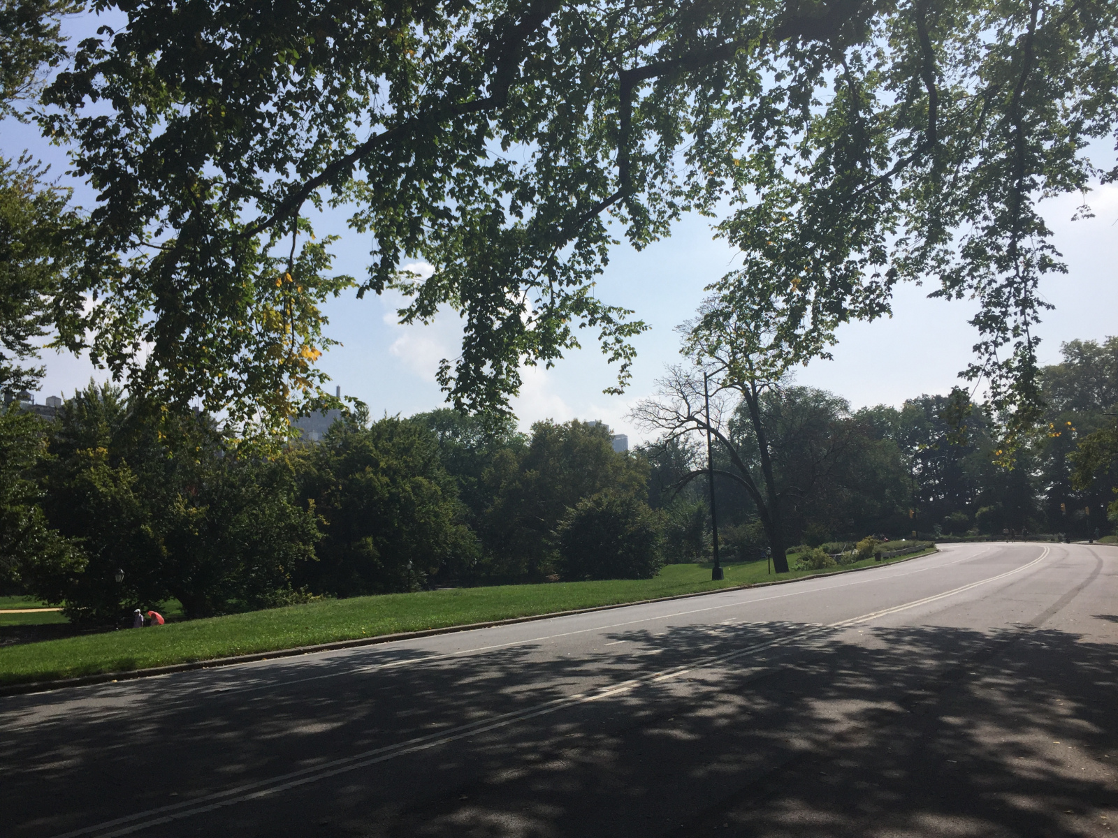 New York: Central Park