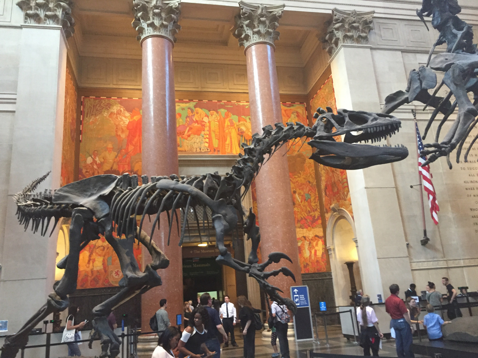 New York: musée d'histoire naturelle