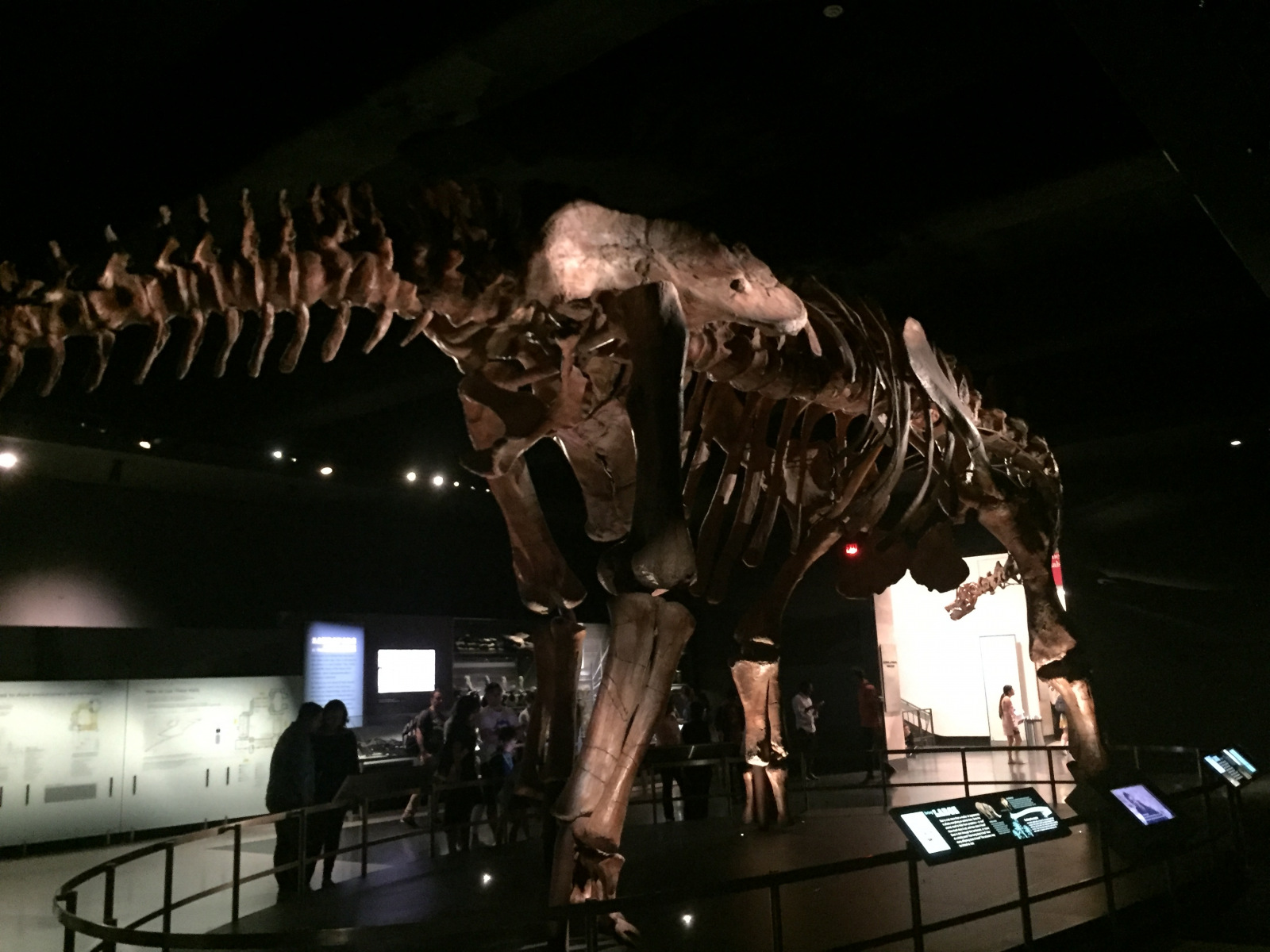 New York: musée d'histoire naturelle