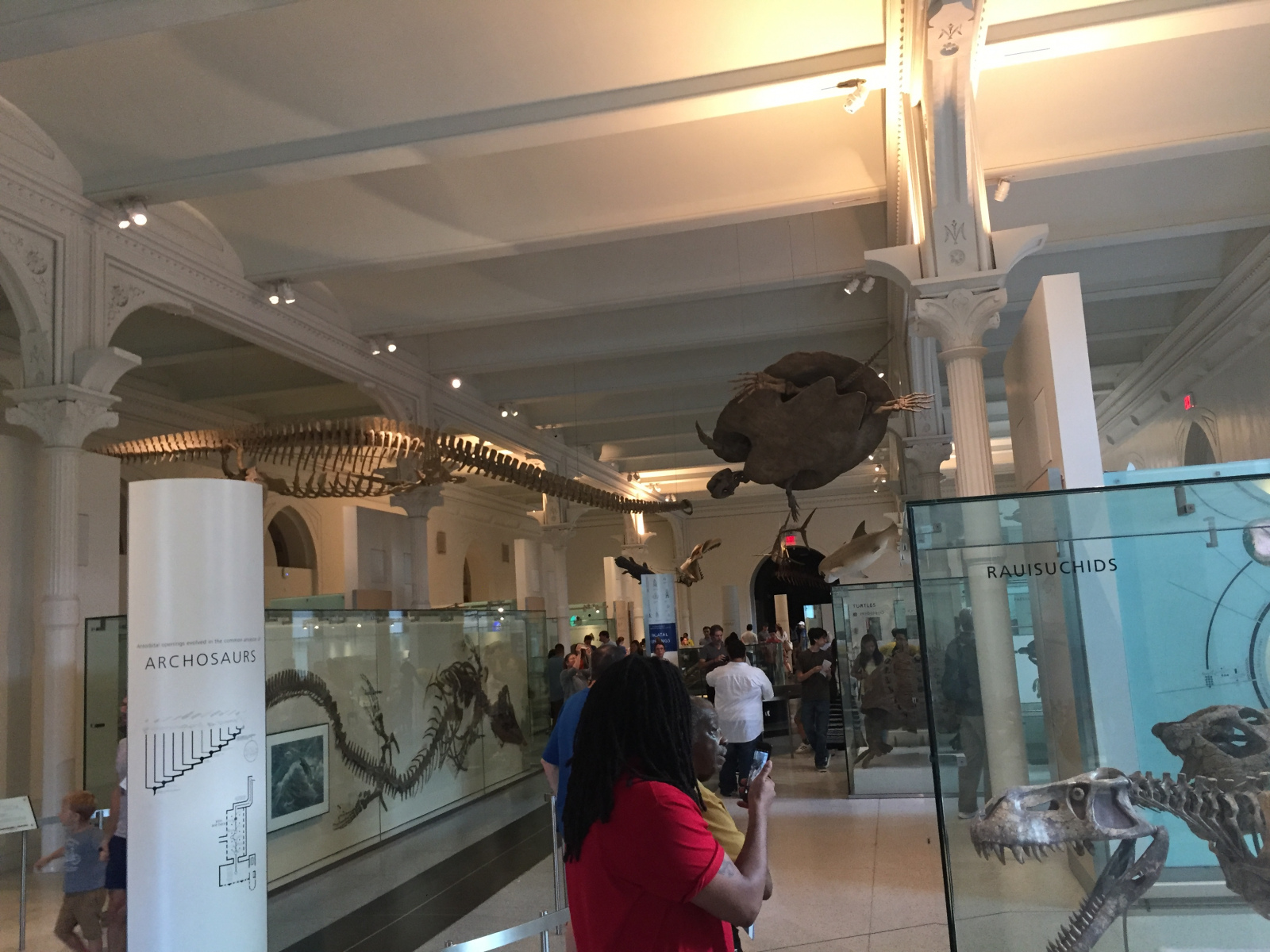 New York: musée d'histoire naturelle