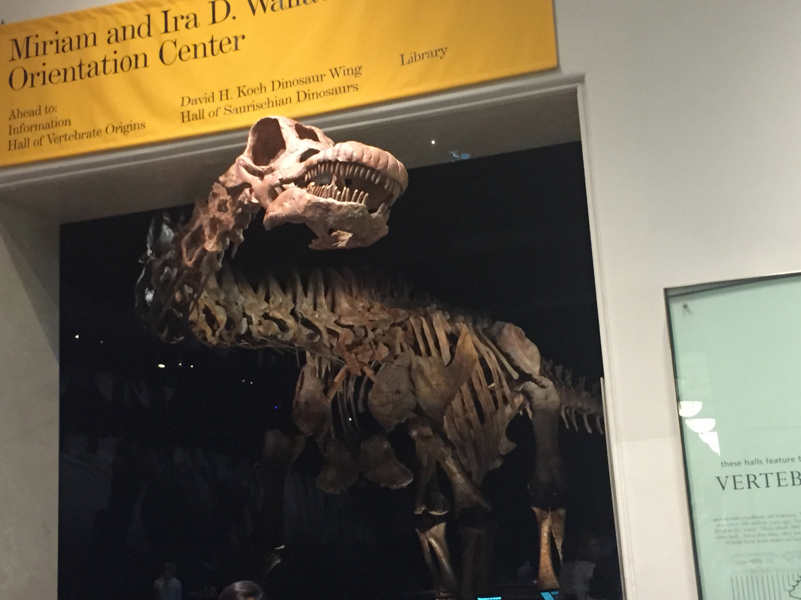 New York: musée d'histoire naturelle