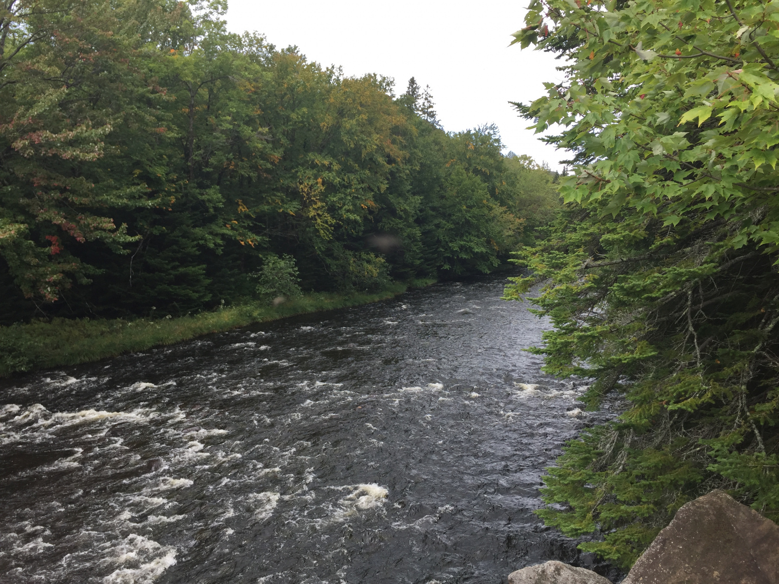 Québec: visite du parc du Mont Tremblant