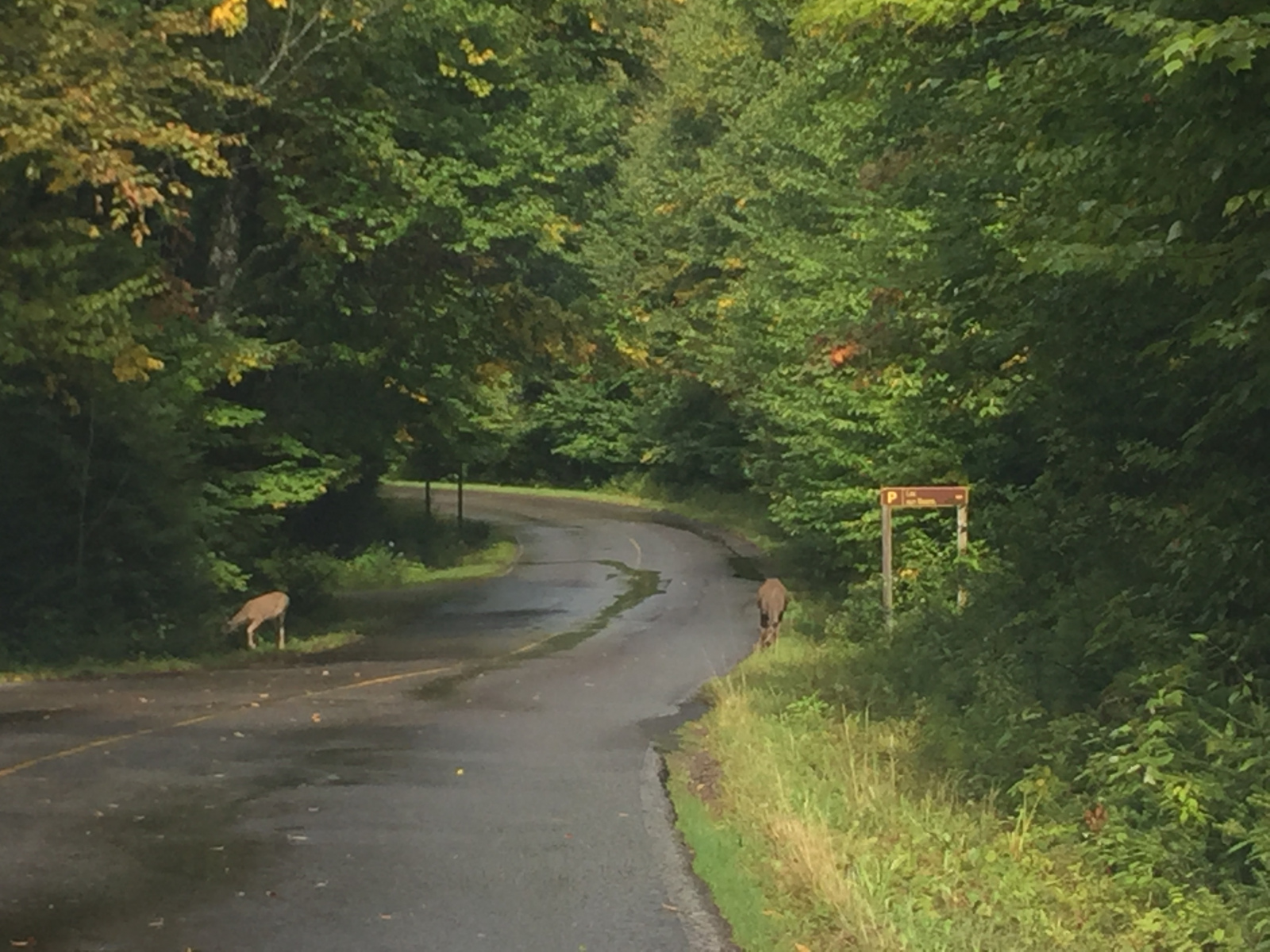 Québec: visite du parc du Mont Tremblant