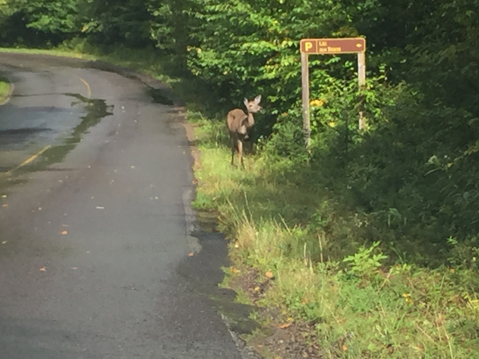 Québec: visite du parc du Mont Tremblant