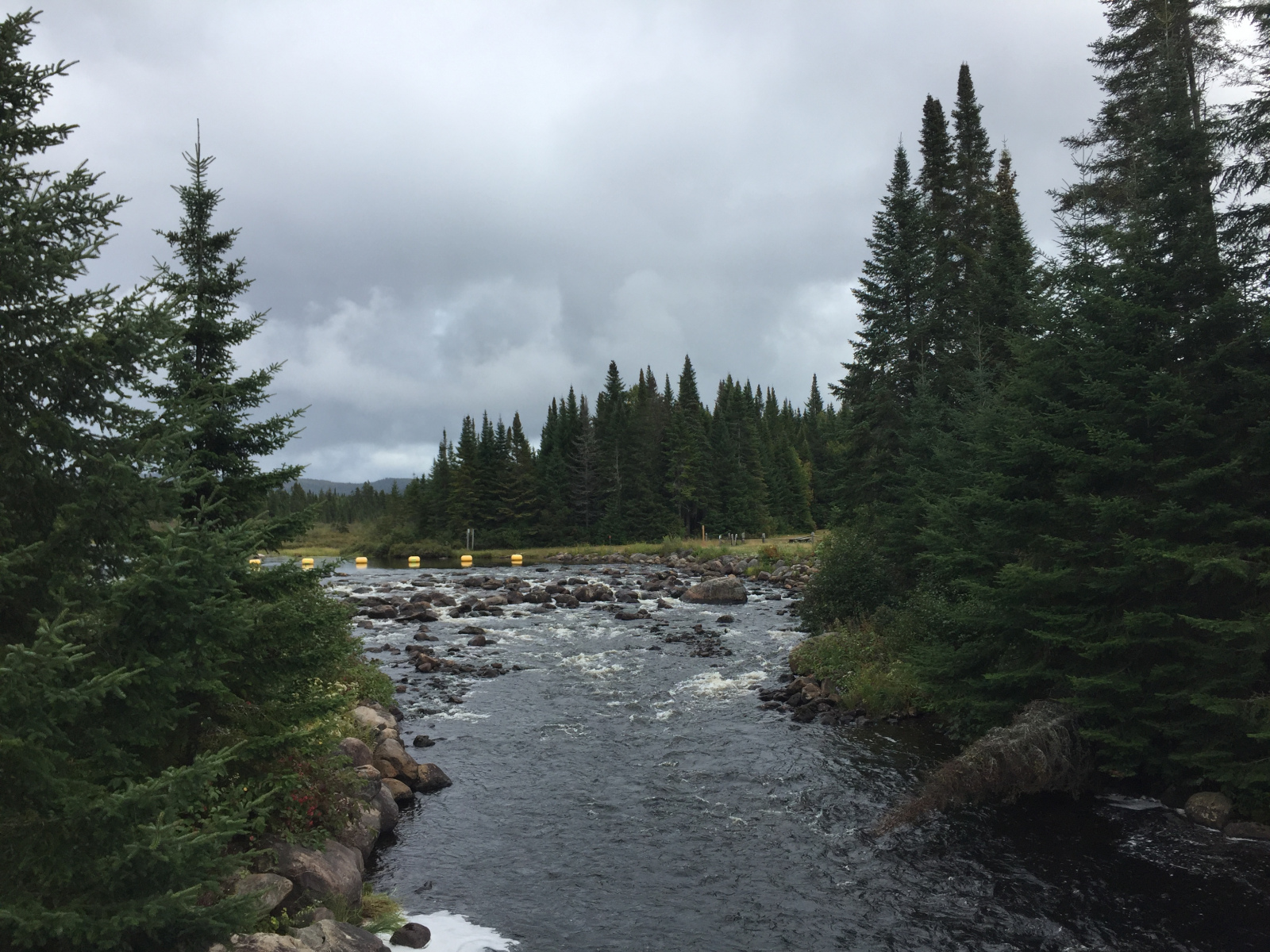 Québec: visite du parc du Mont Tremblant
