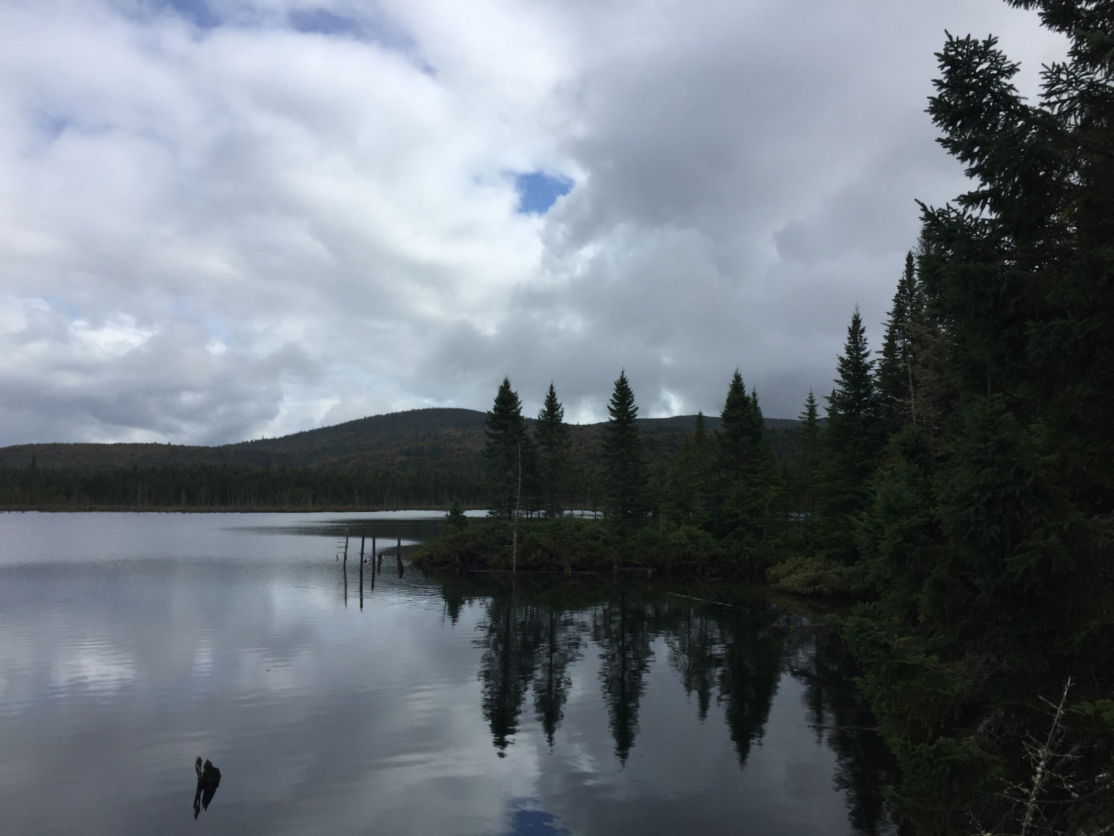 Québec: visite du parc du Mont Tremblant