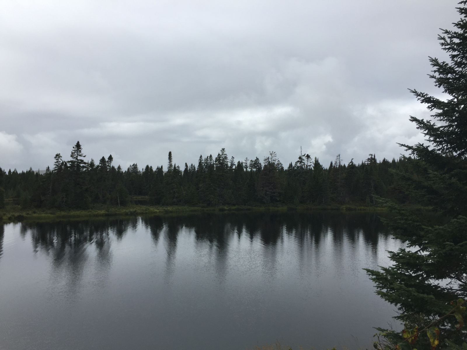 Québec: visite du parc du Mont Tremblant