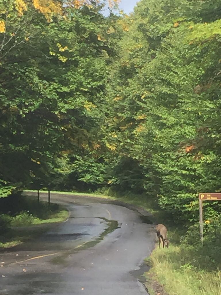 Québec: visite du parc du Mont Tremblant