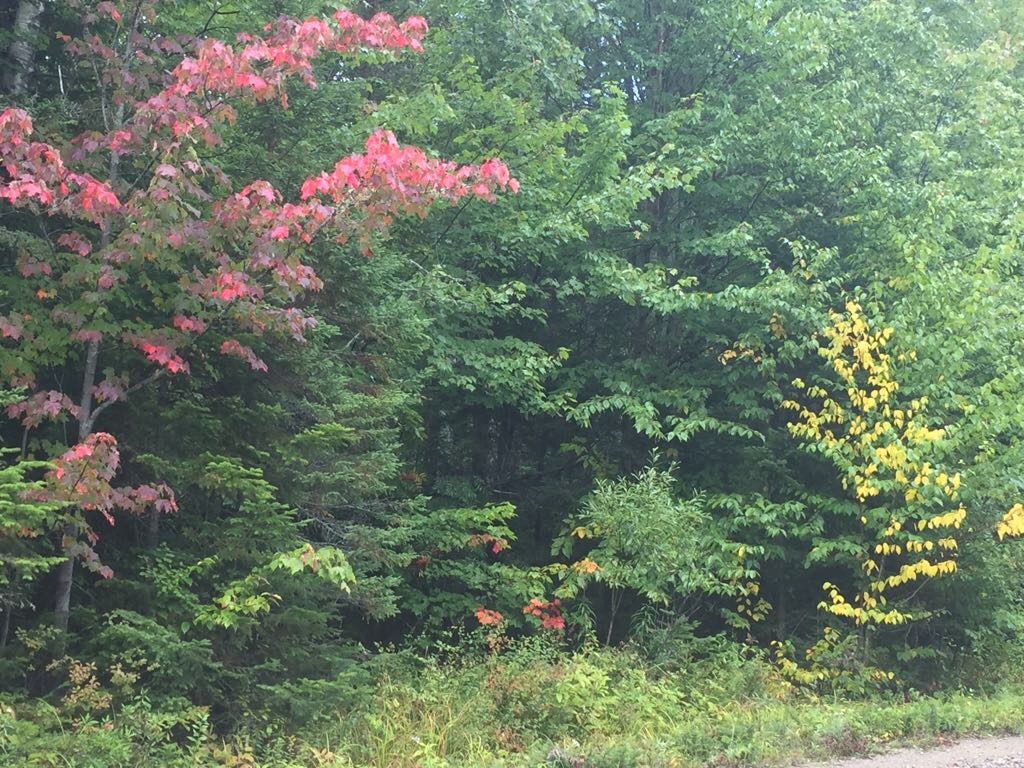 Québec: visite du parc du Mont Tremblant
