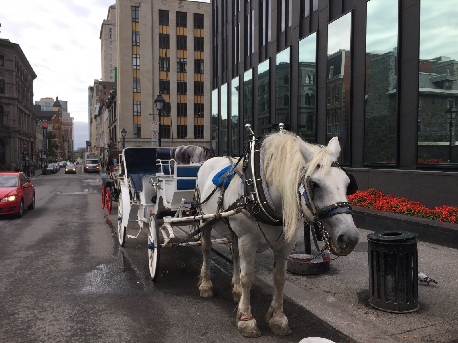 Québec: visite de Montréal
