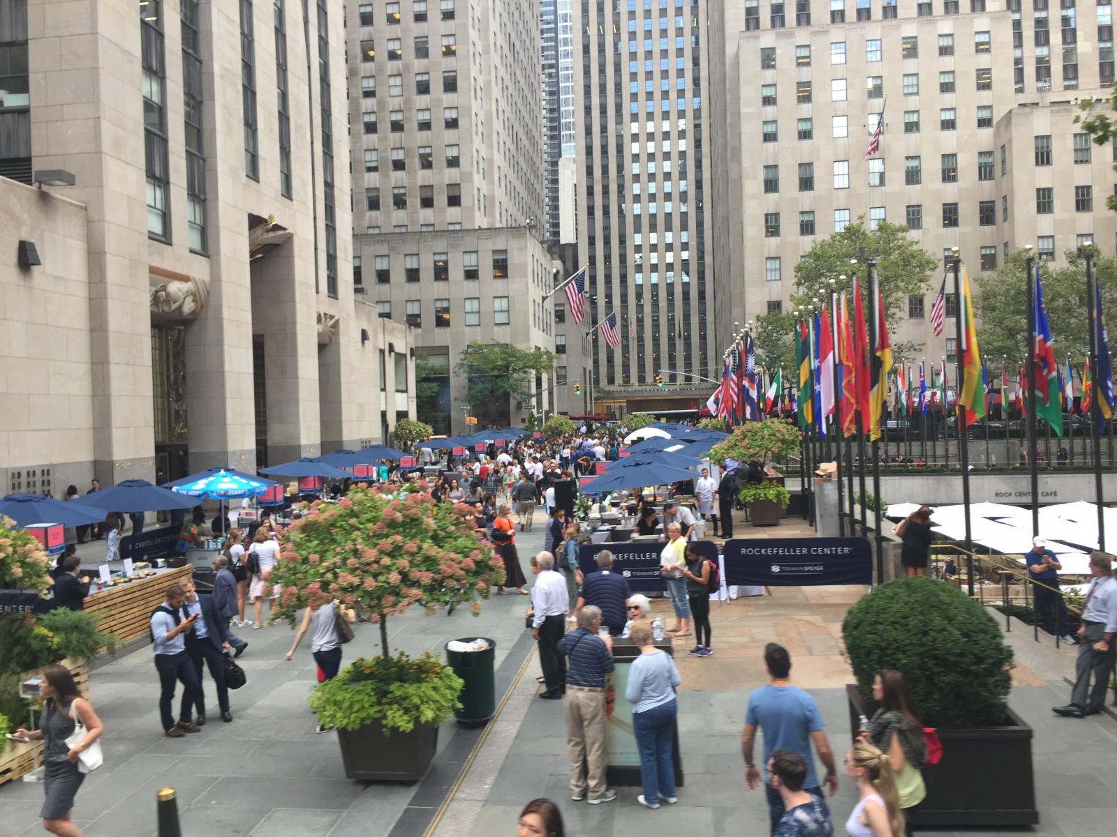 New York: première visite en bus