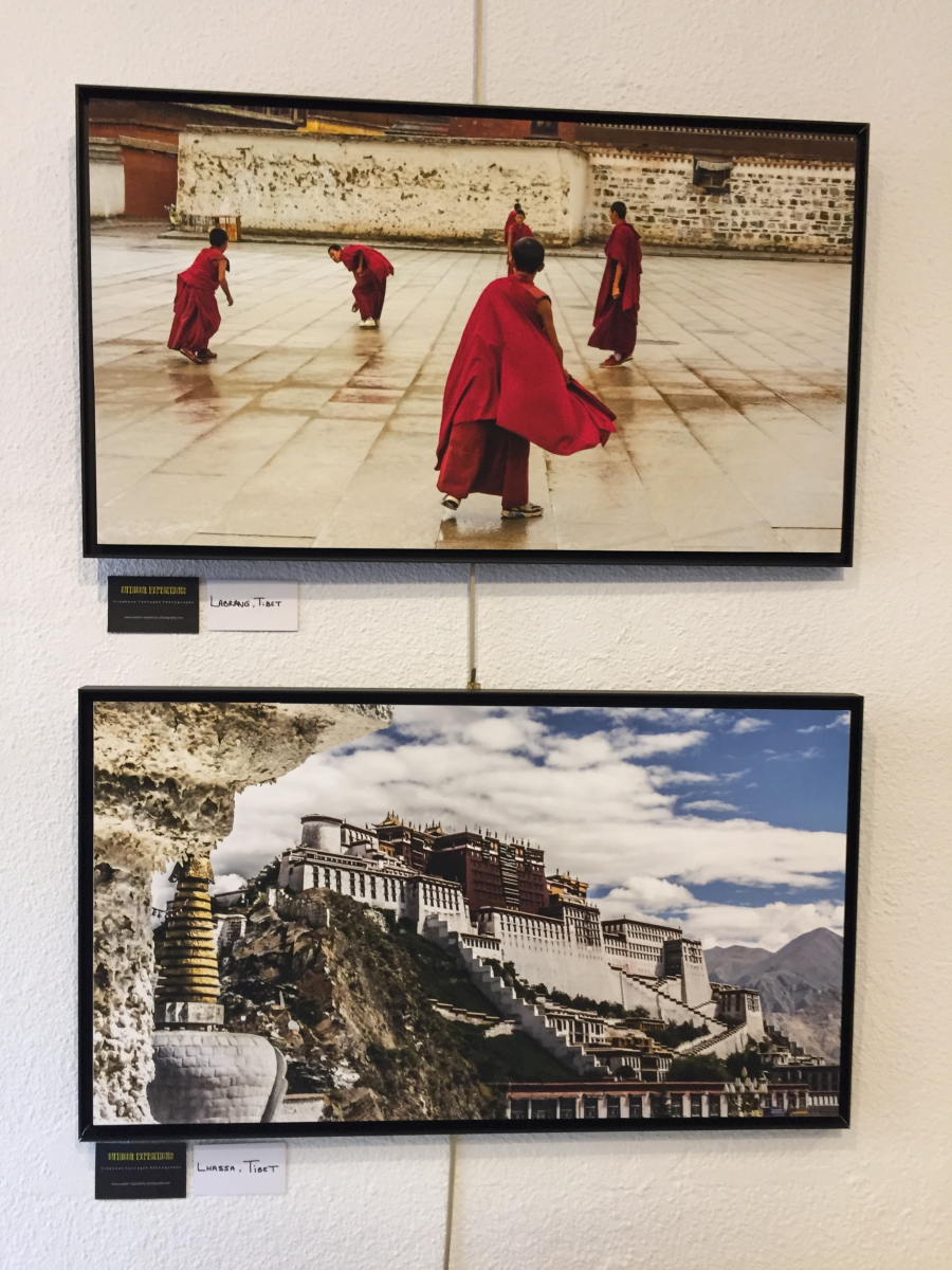 4ème Journée du Tibet libre