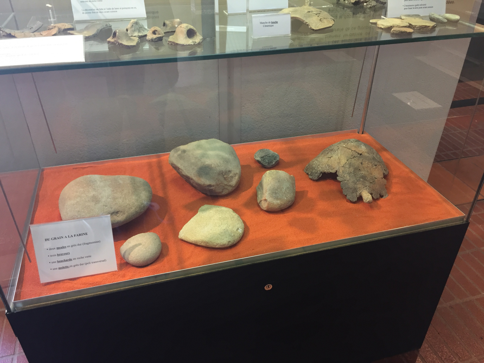 Visite du musée archéologique de Nice