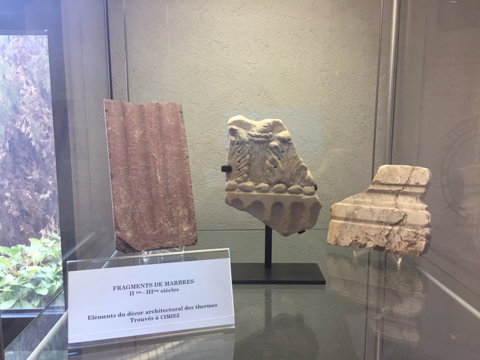 Visite du musée archéologique de Nice