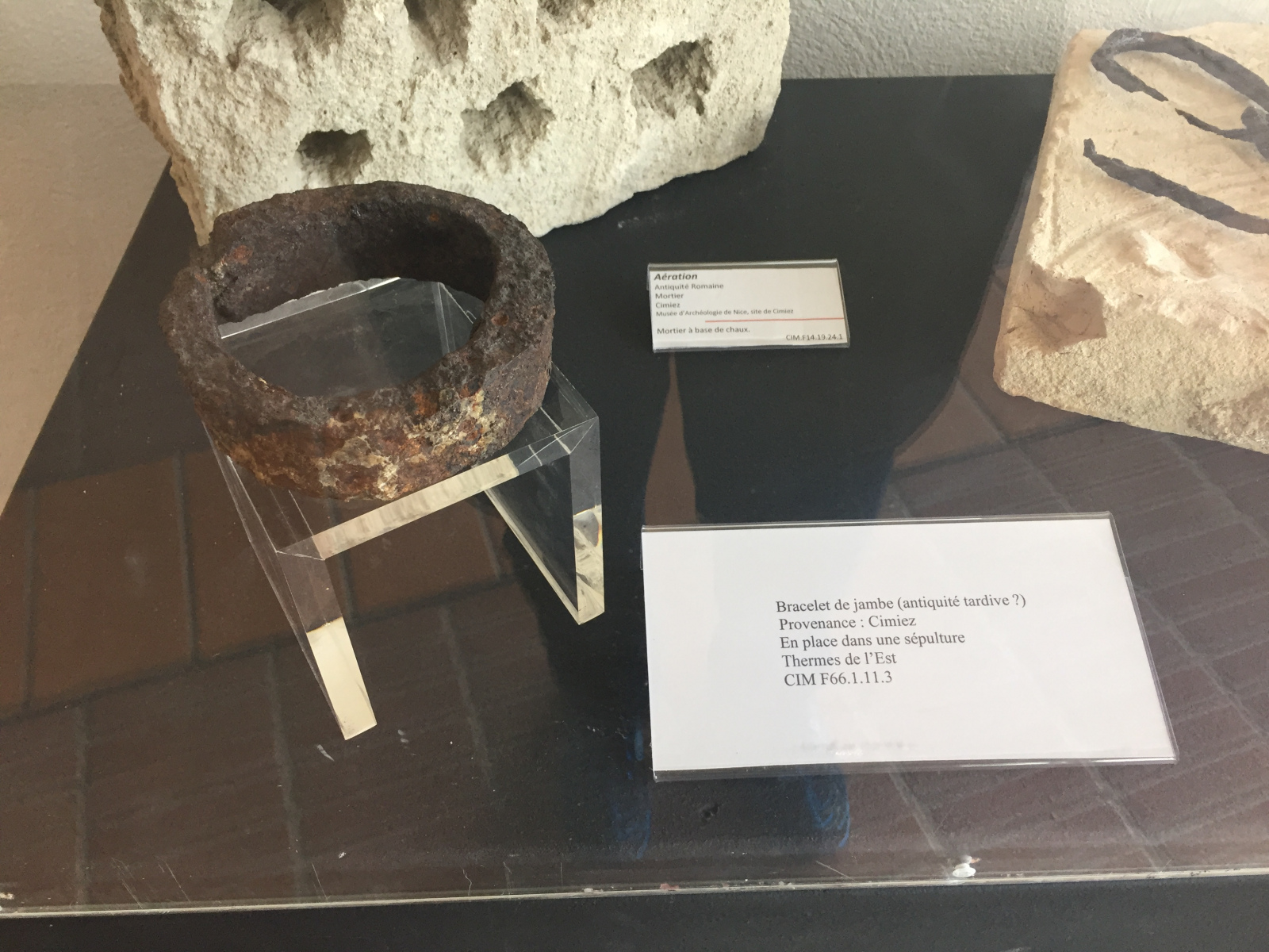 Visite du musée archéologique de Nice