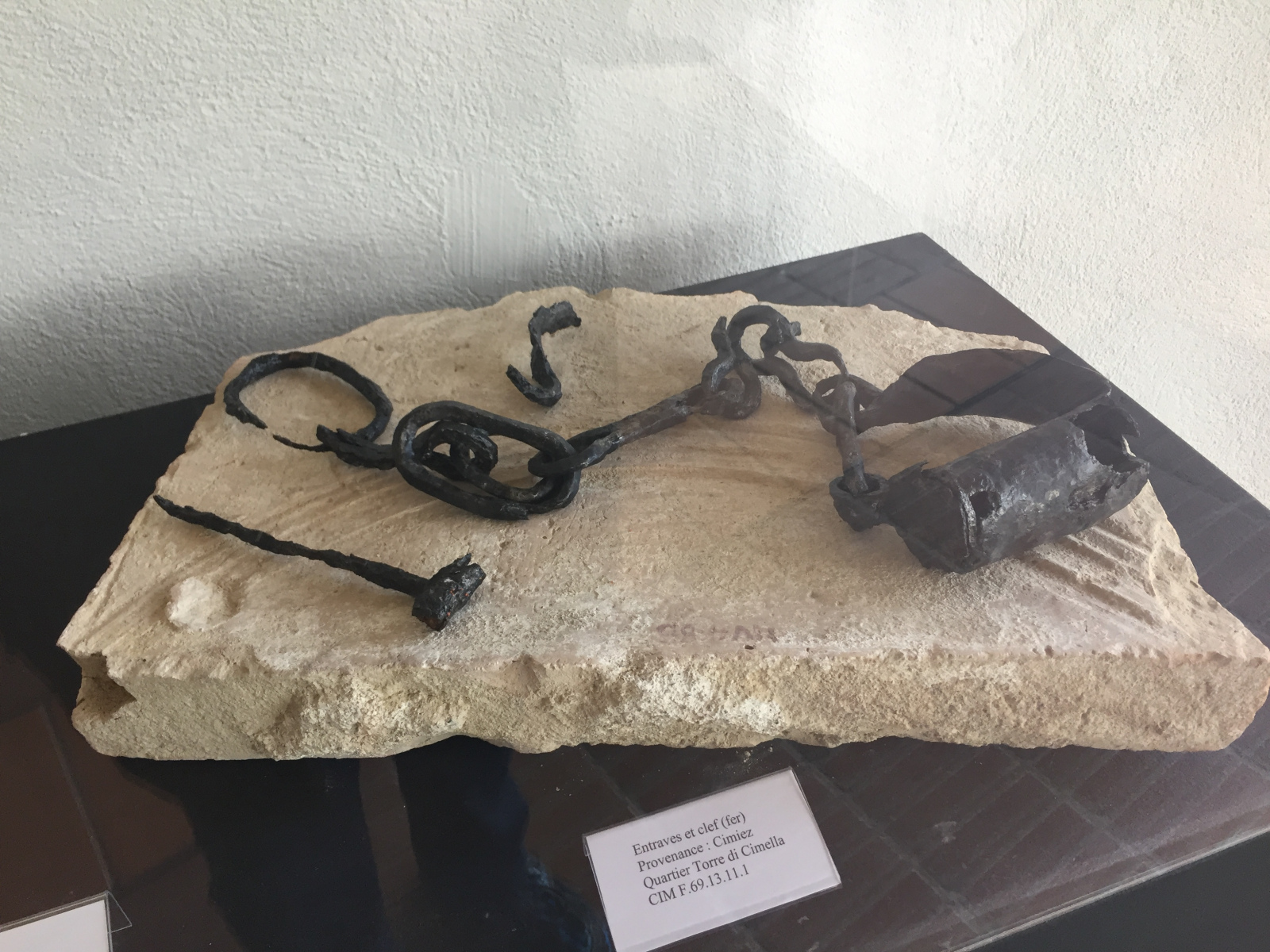 Visite du musée archéologique de Nice