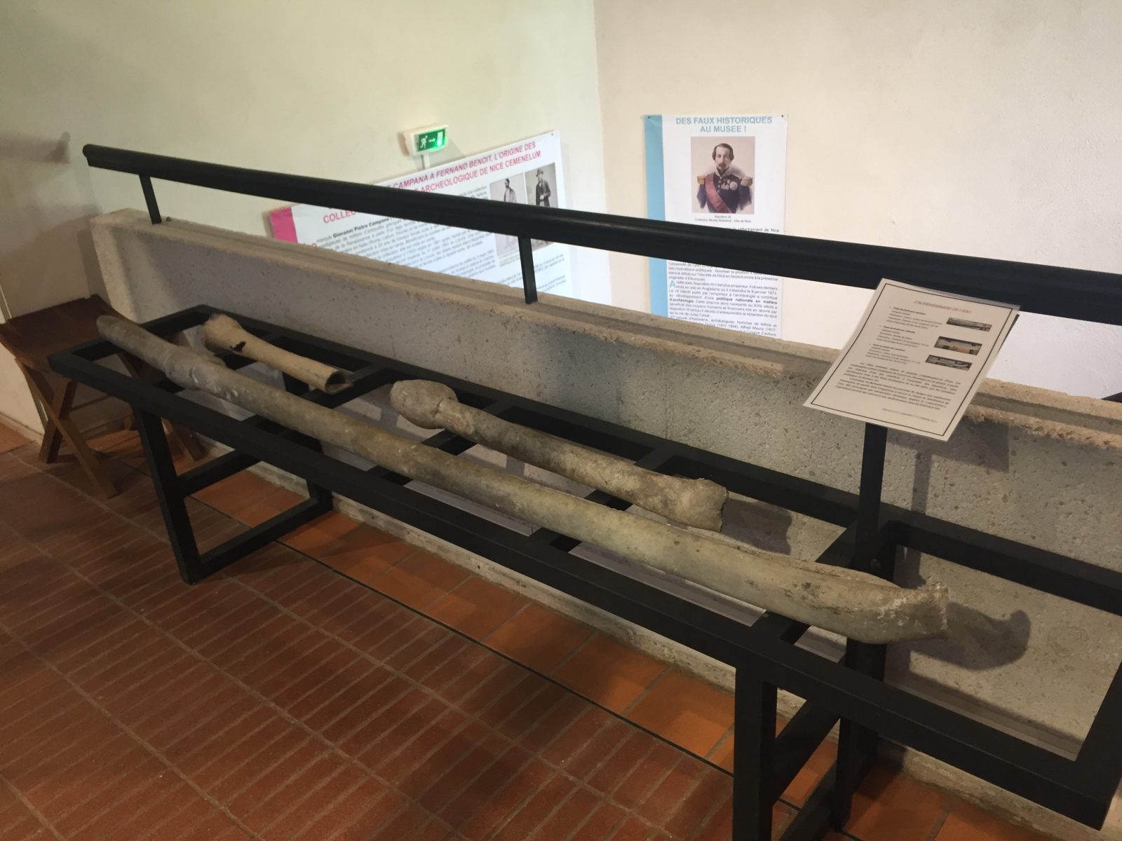Visite du musée archéologique de Nice