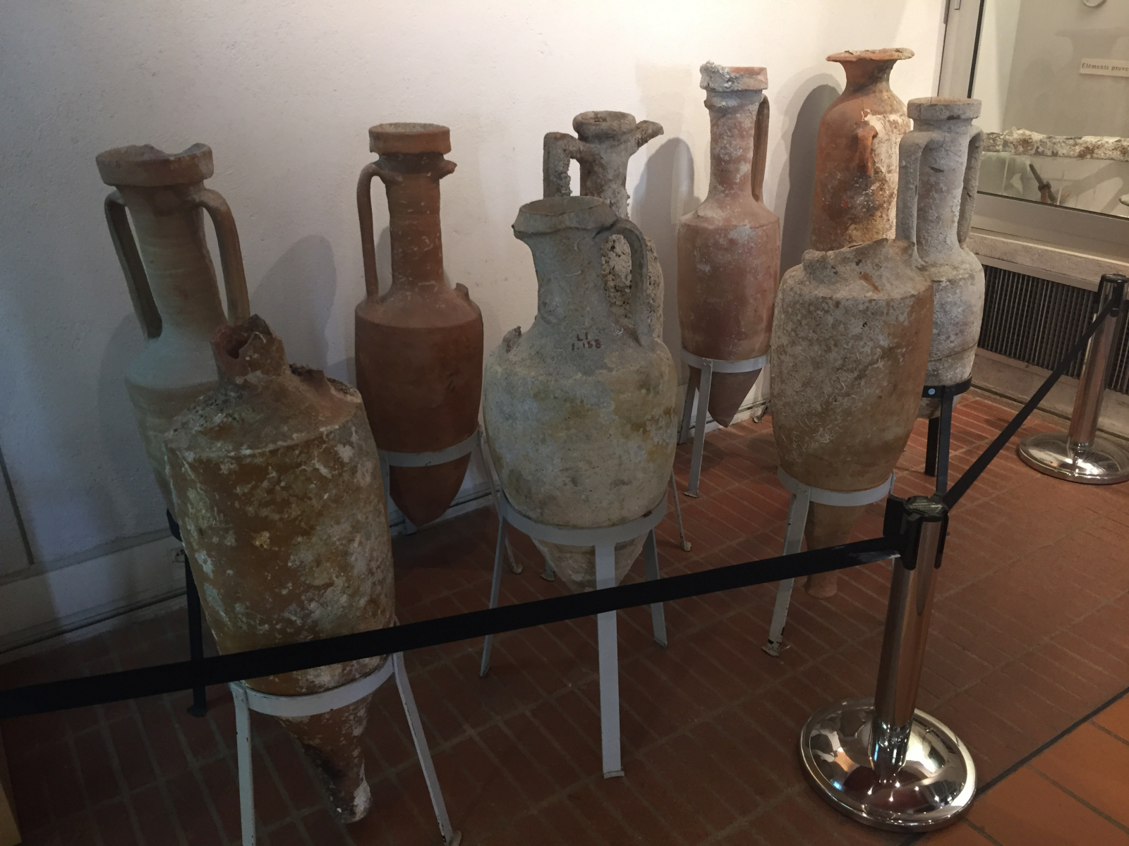 Visite du musée archéologique de Nice