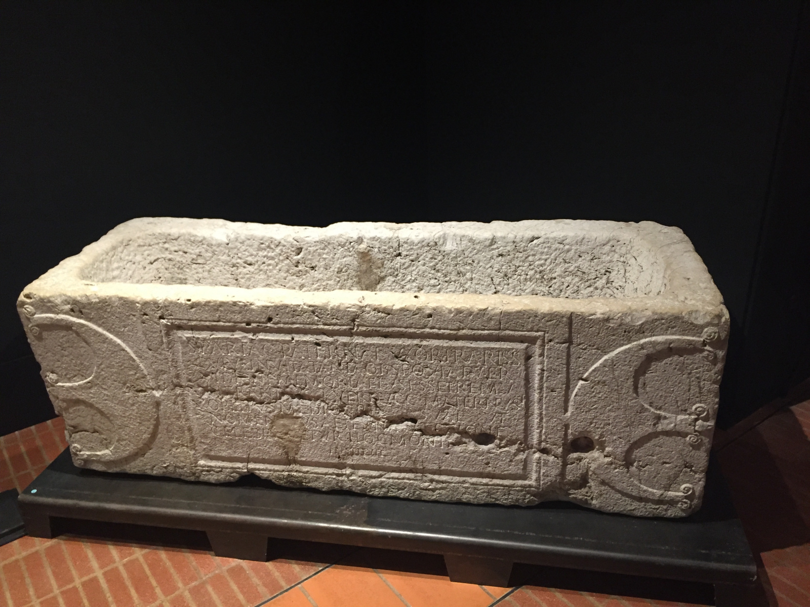 Visite du musée archéologique de Nice