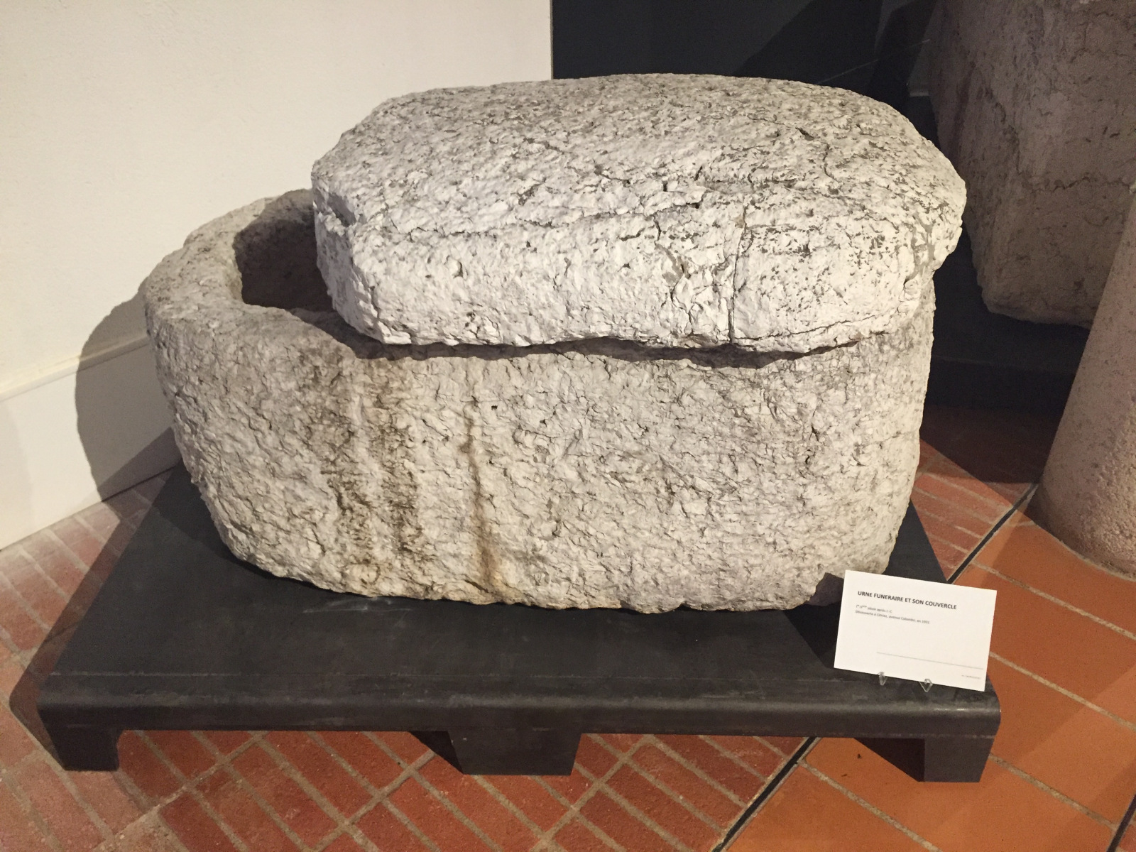 Visite du musée archéologique de Nice