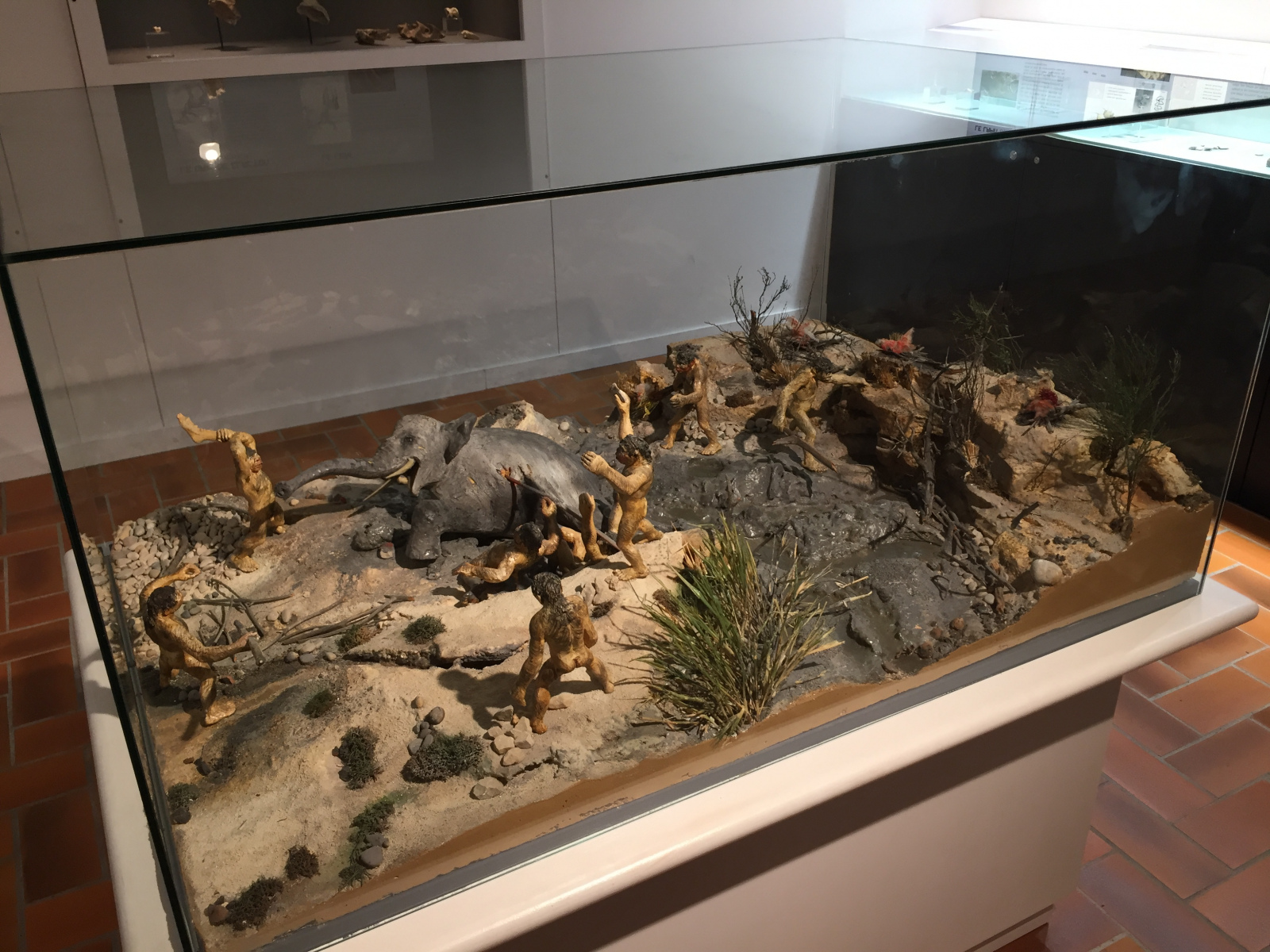 Visite du musée Terra Amata à Nice