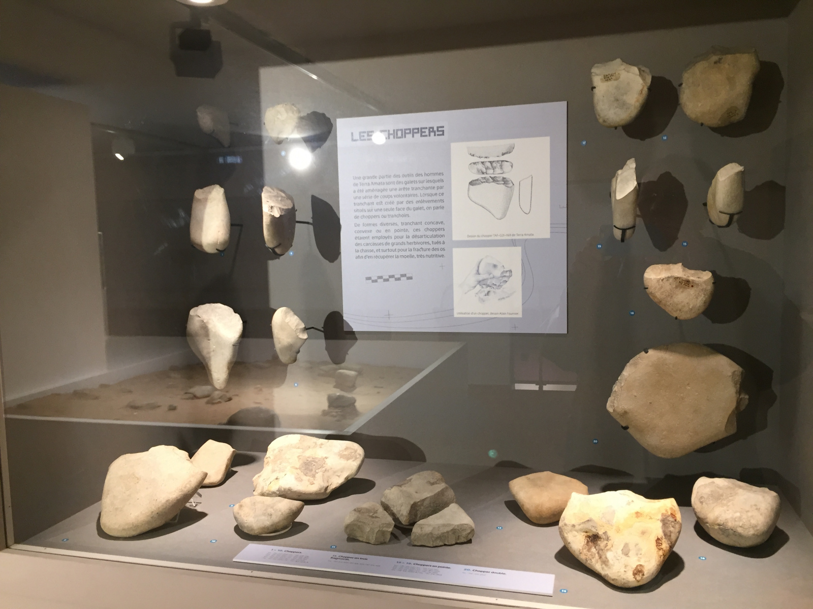 Visite du musée Terra Amata à Nice