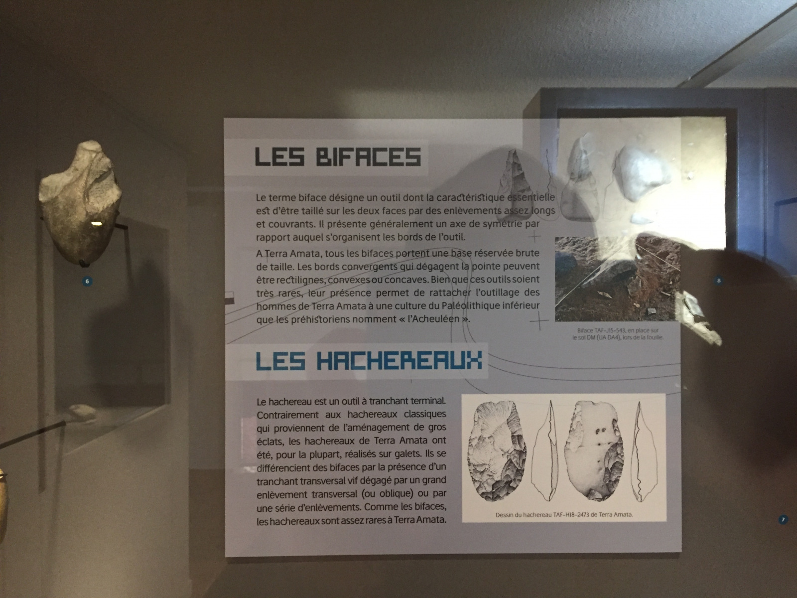 Visite du musée Terra Amata à Nice