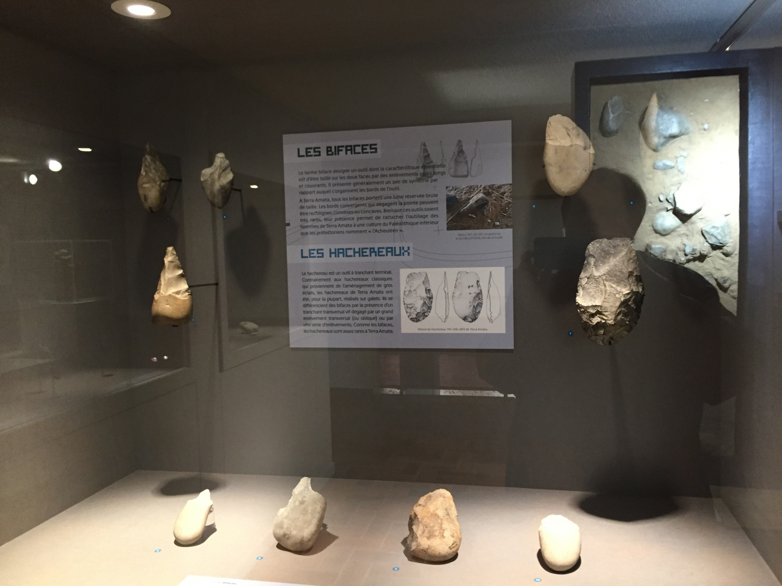Visite du musée Terra Amata à Nice